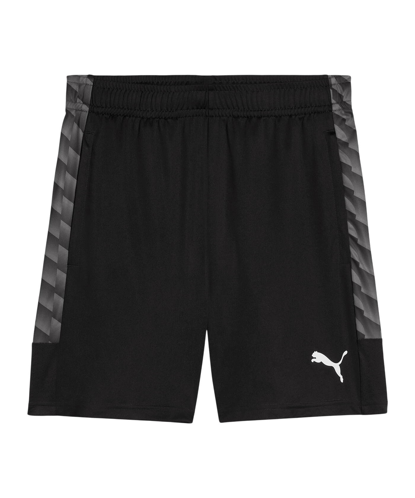 PUMA teamLIGA26 Training Short Schwarz F03 - schwarz