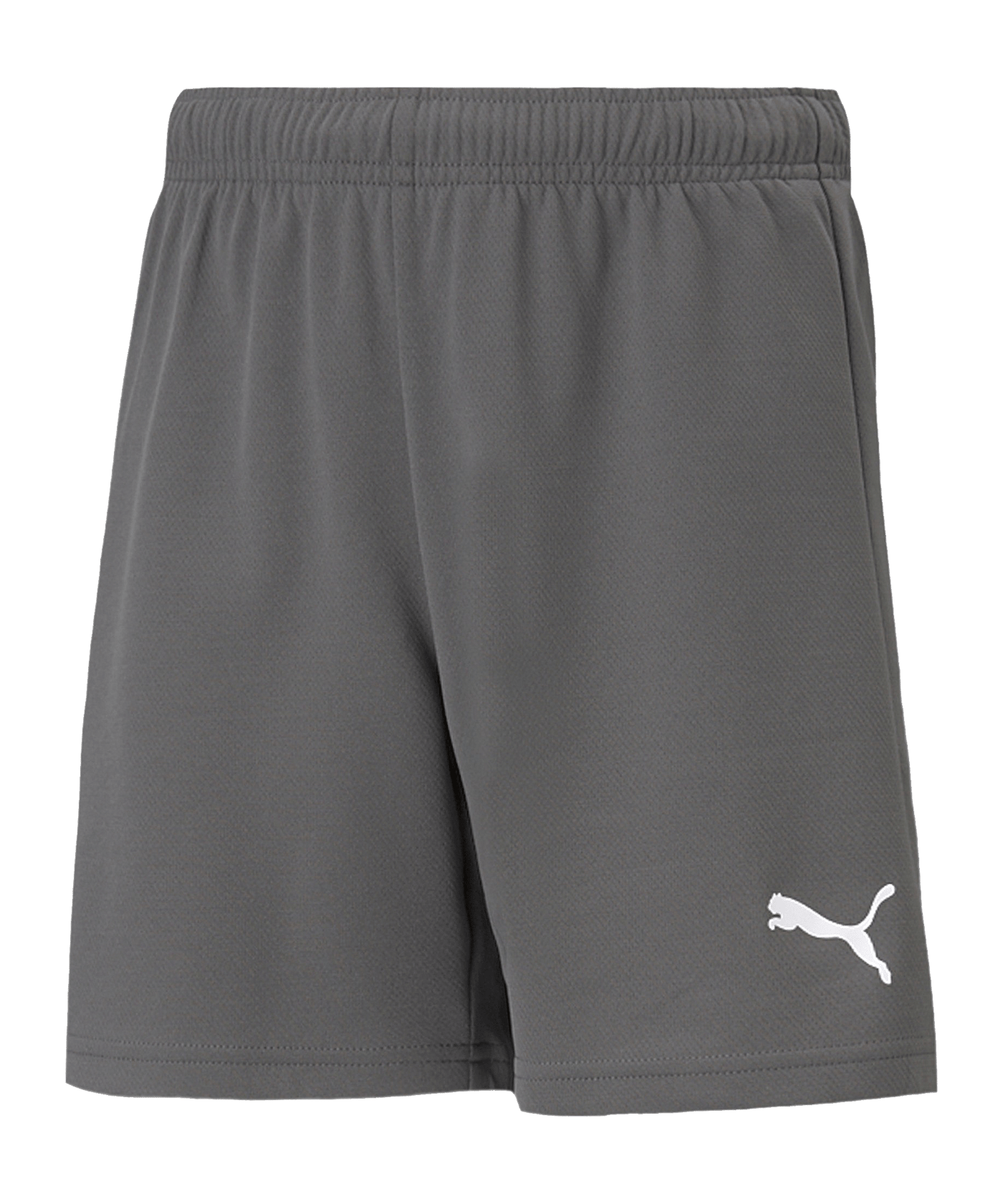 PUMA teamRISE Short Grau Weiss F13 - grau
