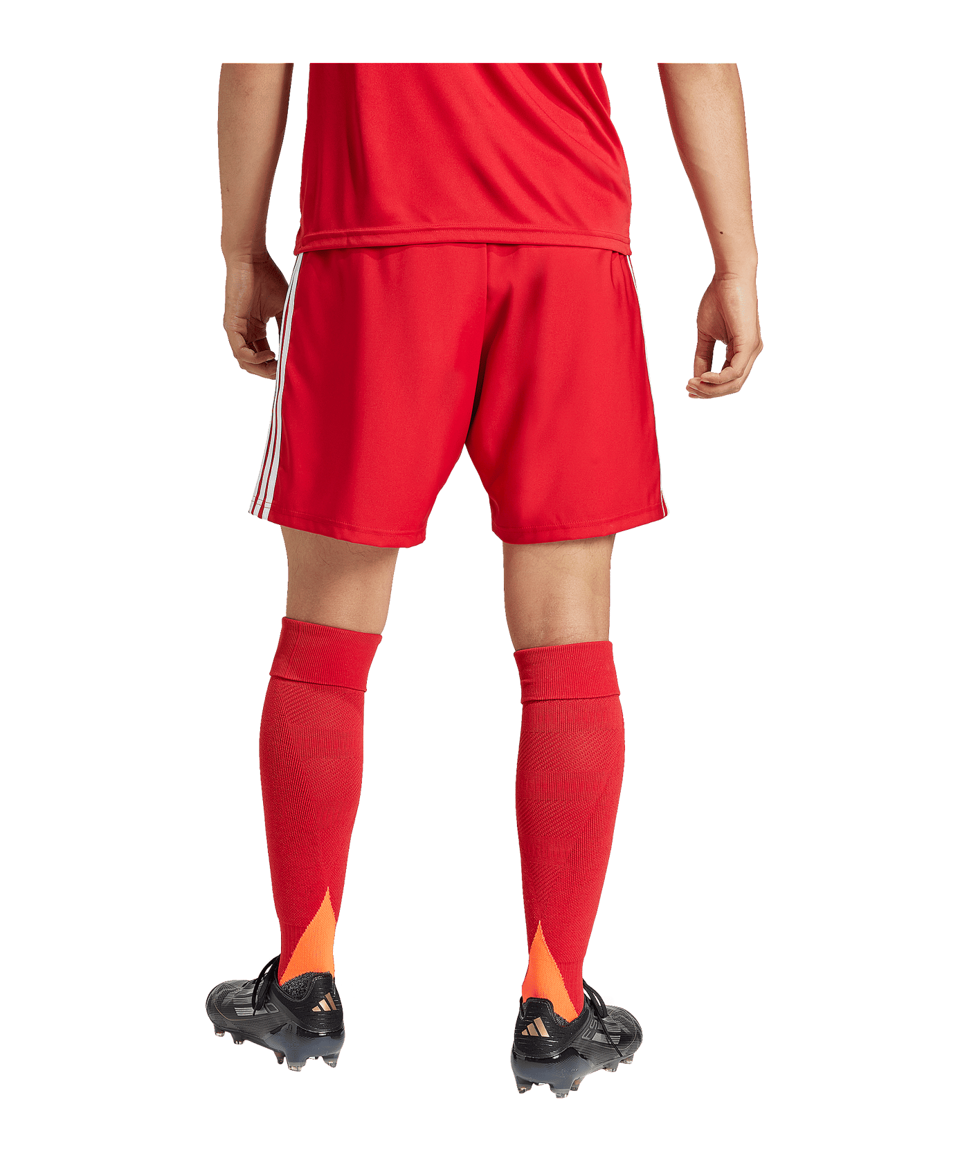 adidas Tastigo 25 Short Rot - rot