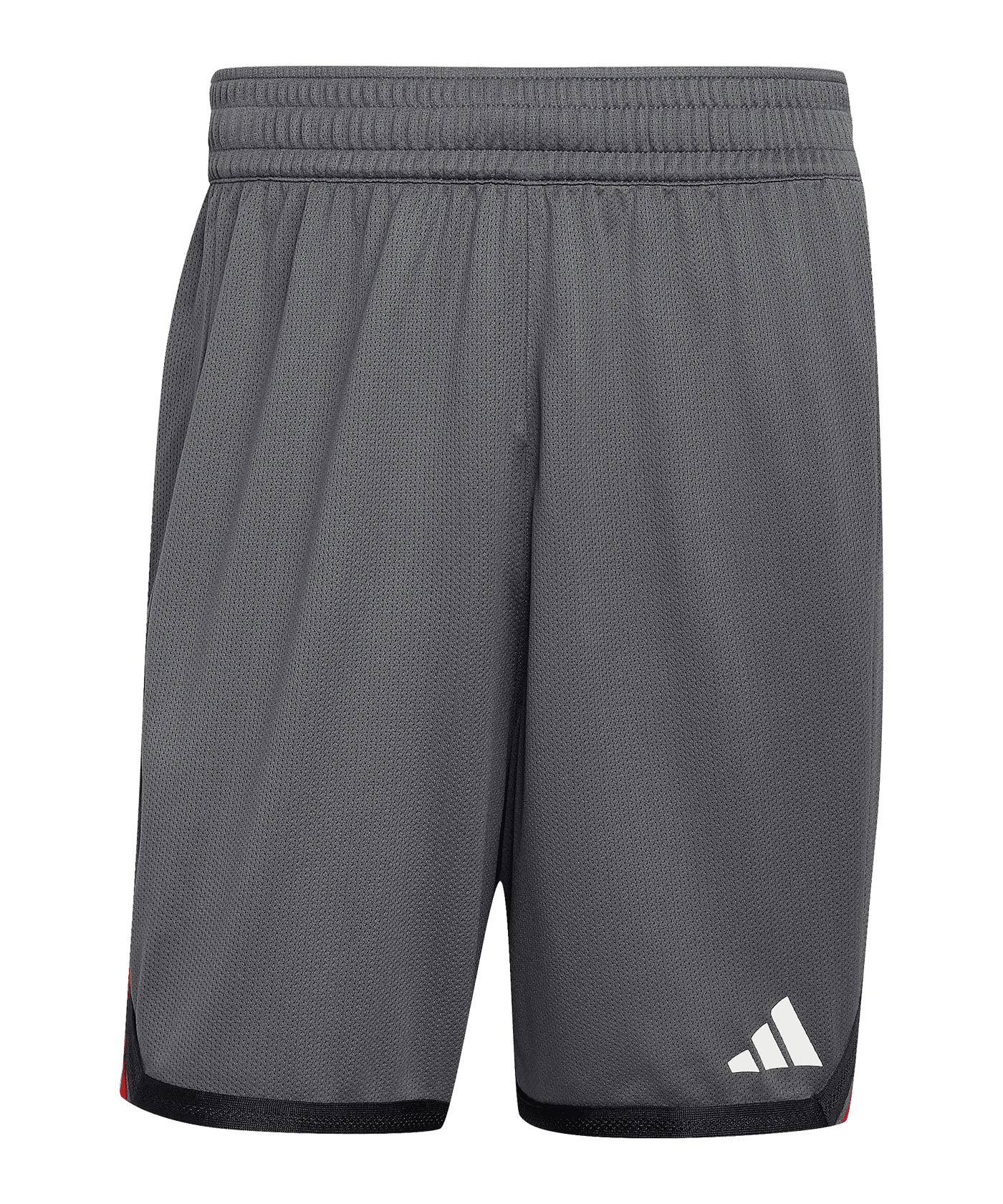 adidas DBB Deutschland Training Short Grau - grau