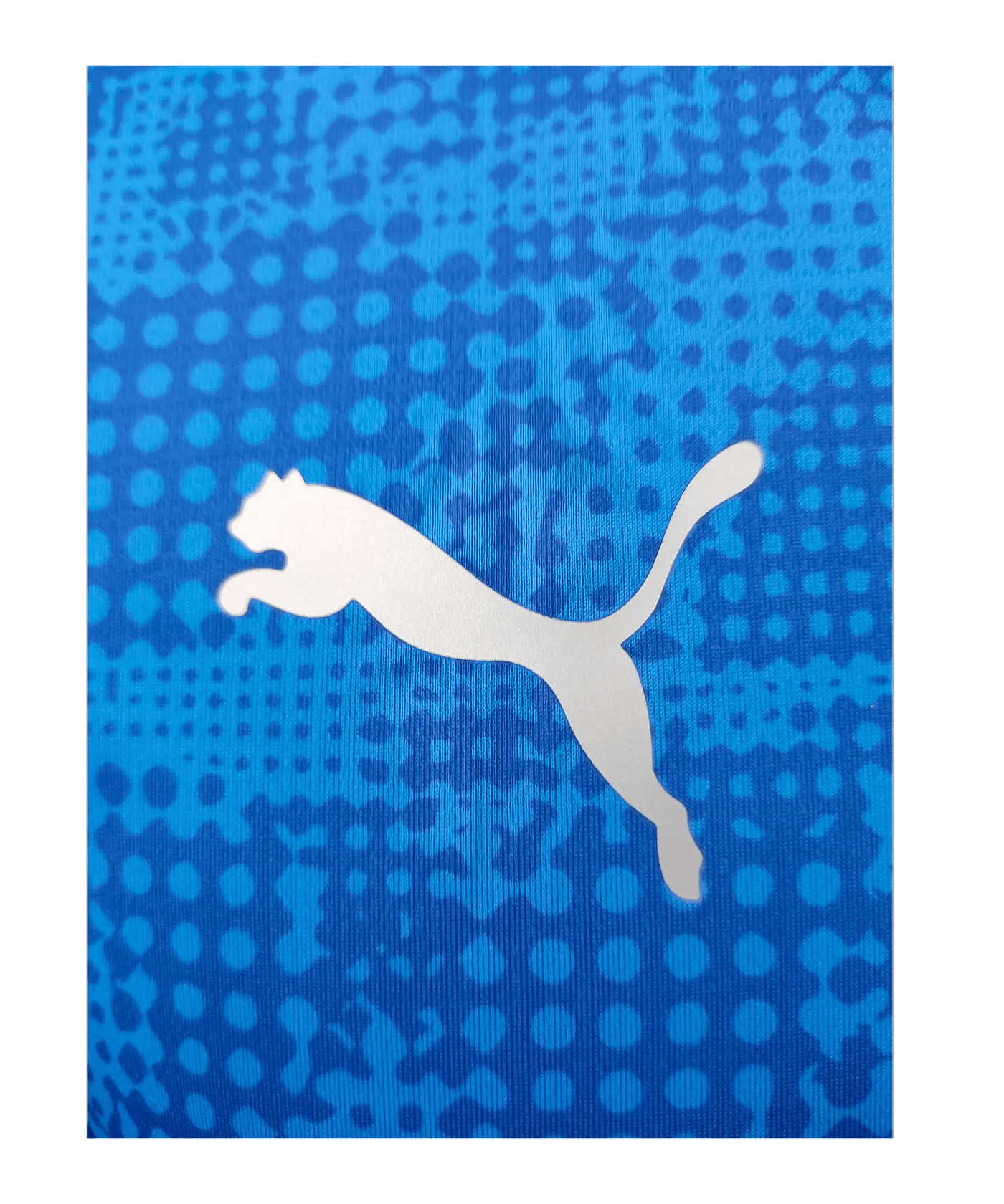 PUMA teamCUP Trikot Blau F002 - blau