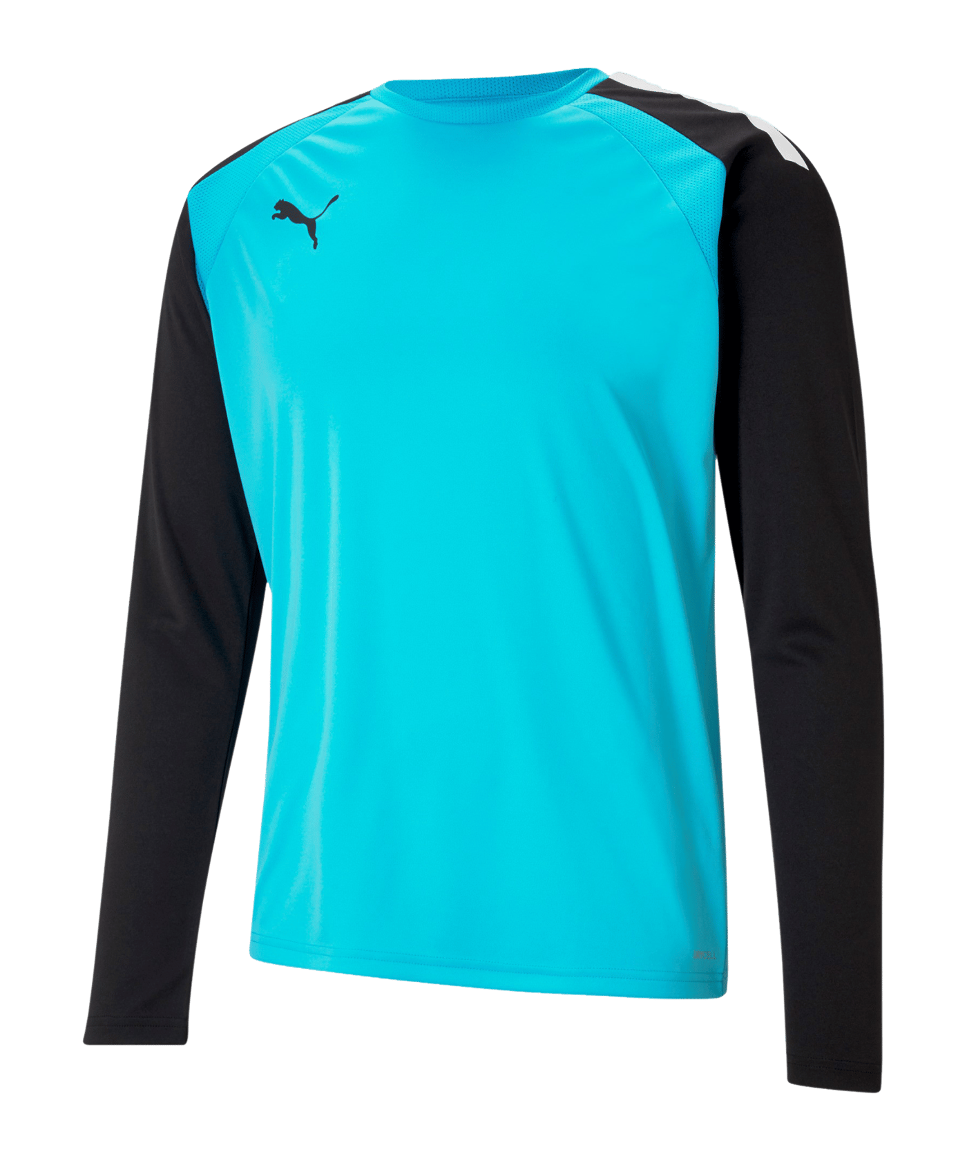 PUMA teamPACER Torwarttrikot langarm Blau F40 - blau