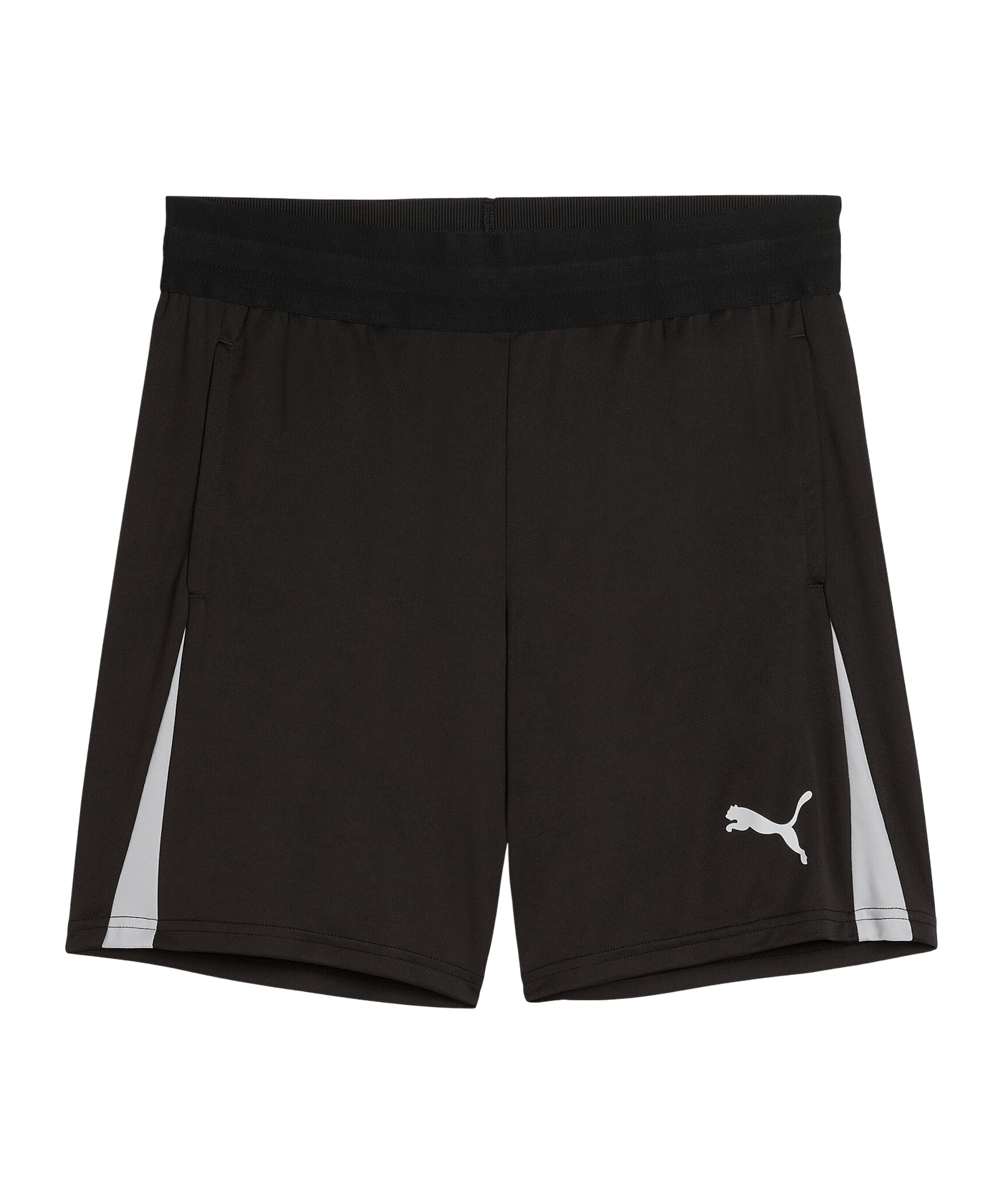 PUMA teamLIGA26 Schiedsrichtershorts Schwarz F03 - schwarz