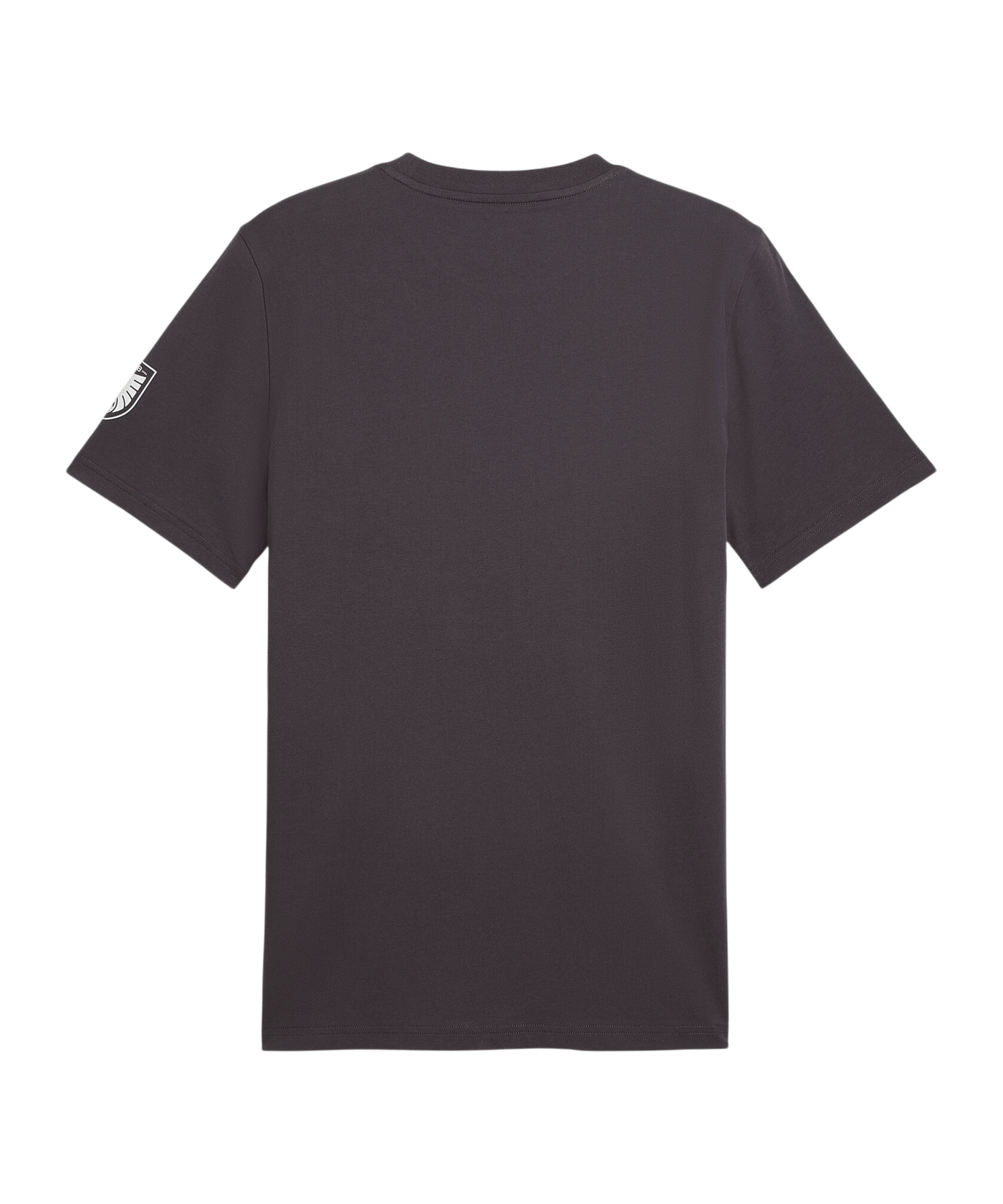 PUMA ÖFB Österreich FtblCulture T-Shirt Kids Grau F25 - grau