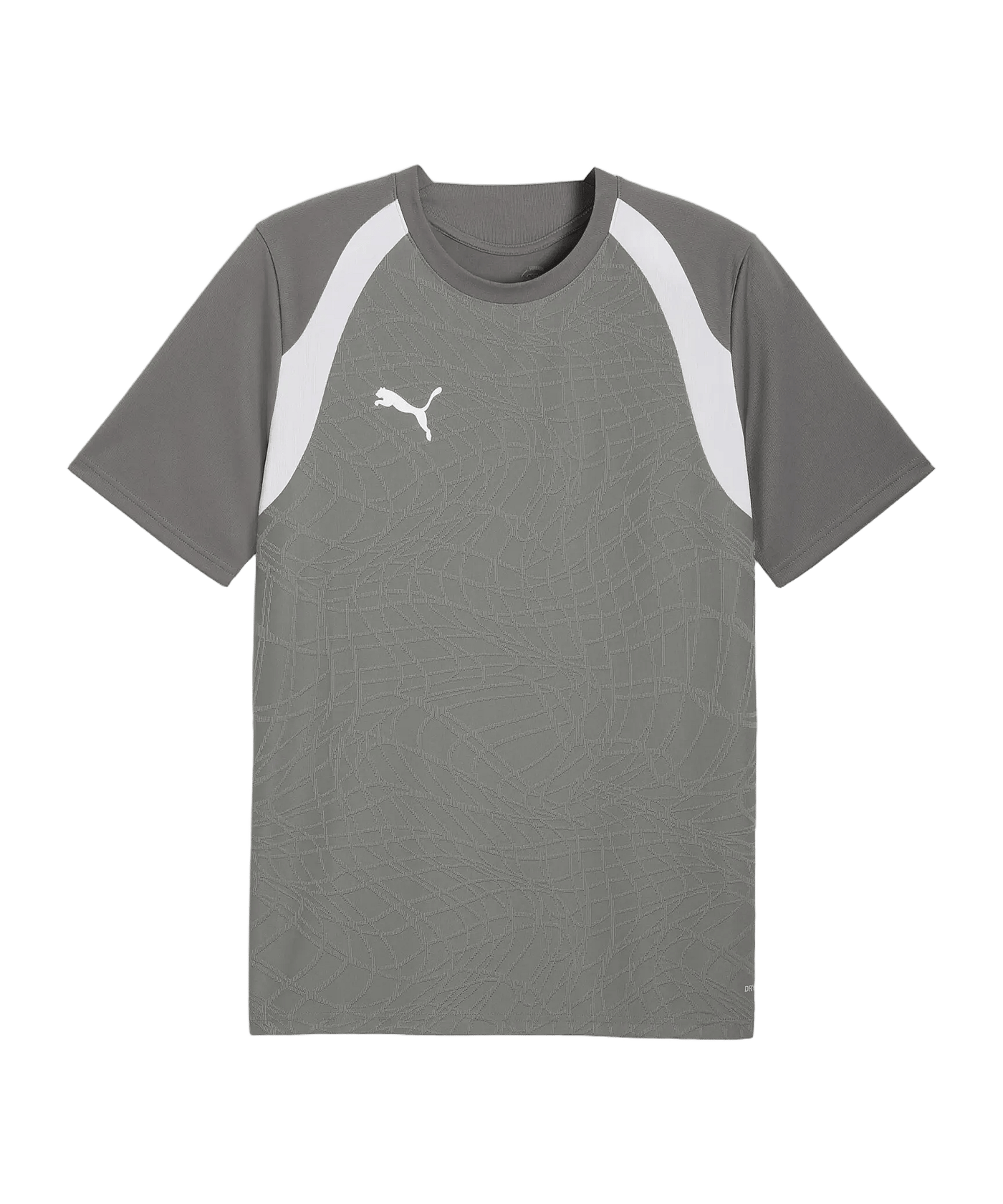 PUMA teamFINAL26 Training Trikot Grau F13 - grau