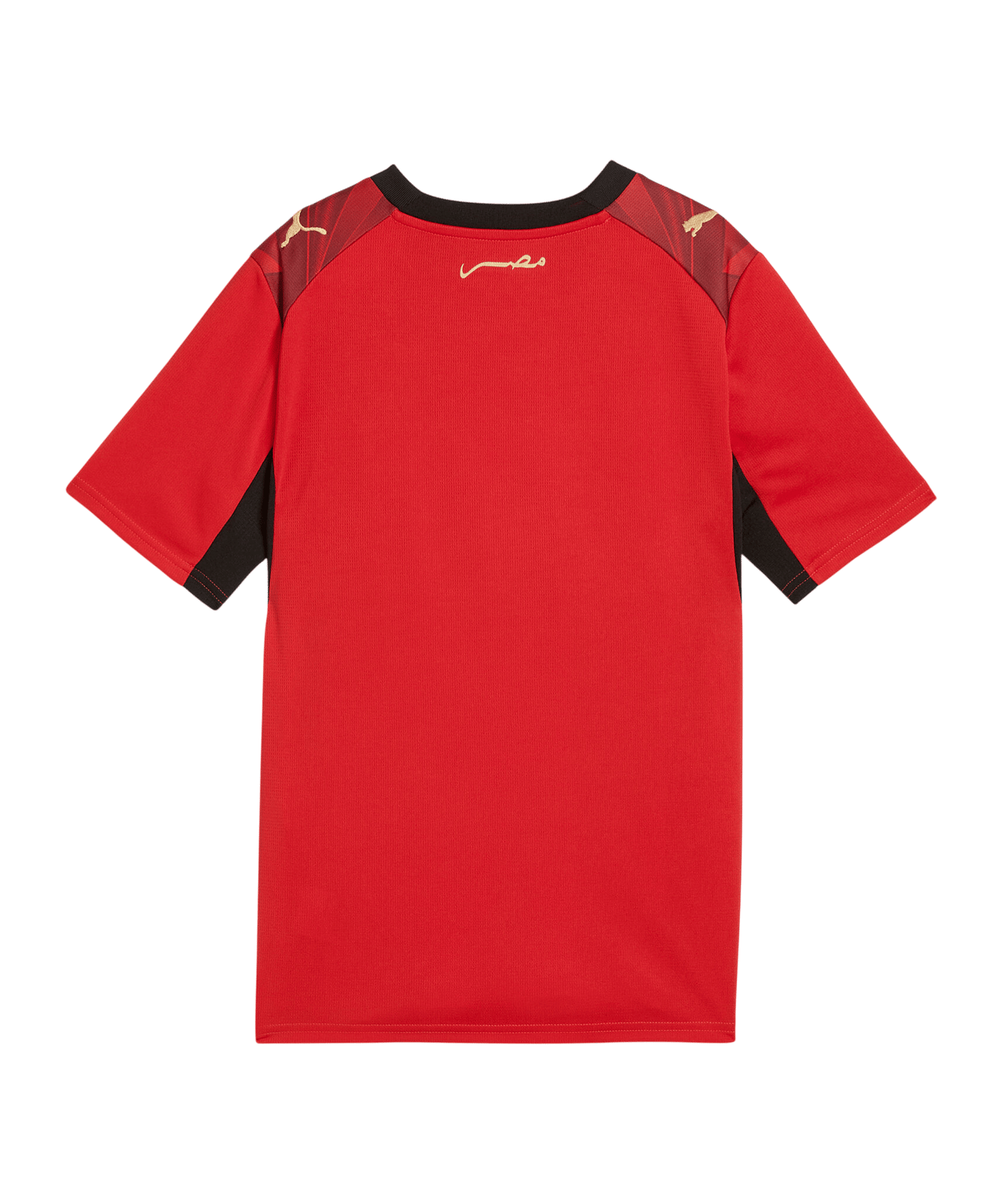 PUMA EFA Ägypten Trikot Home WM 2026 Kids Rot F01 - rot