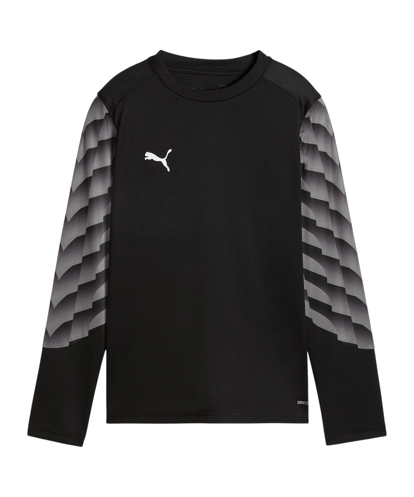 PUMA teamLIGA26 Torwarttrikot Langarm Kids Schwarz F03 - schwarz