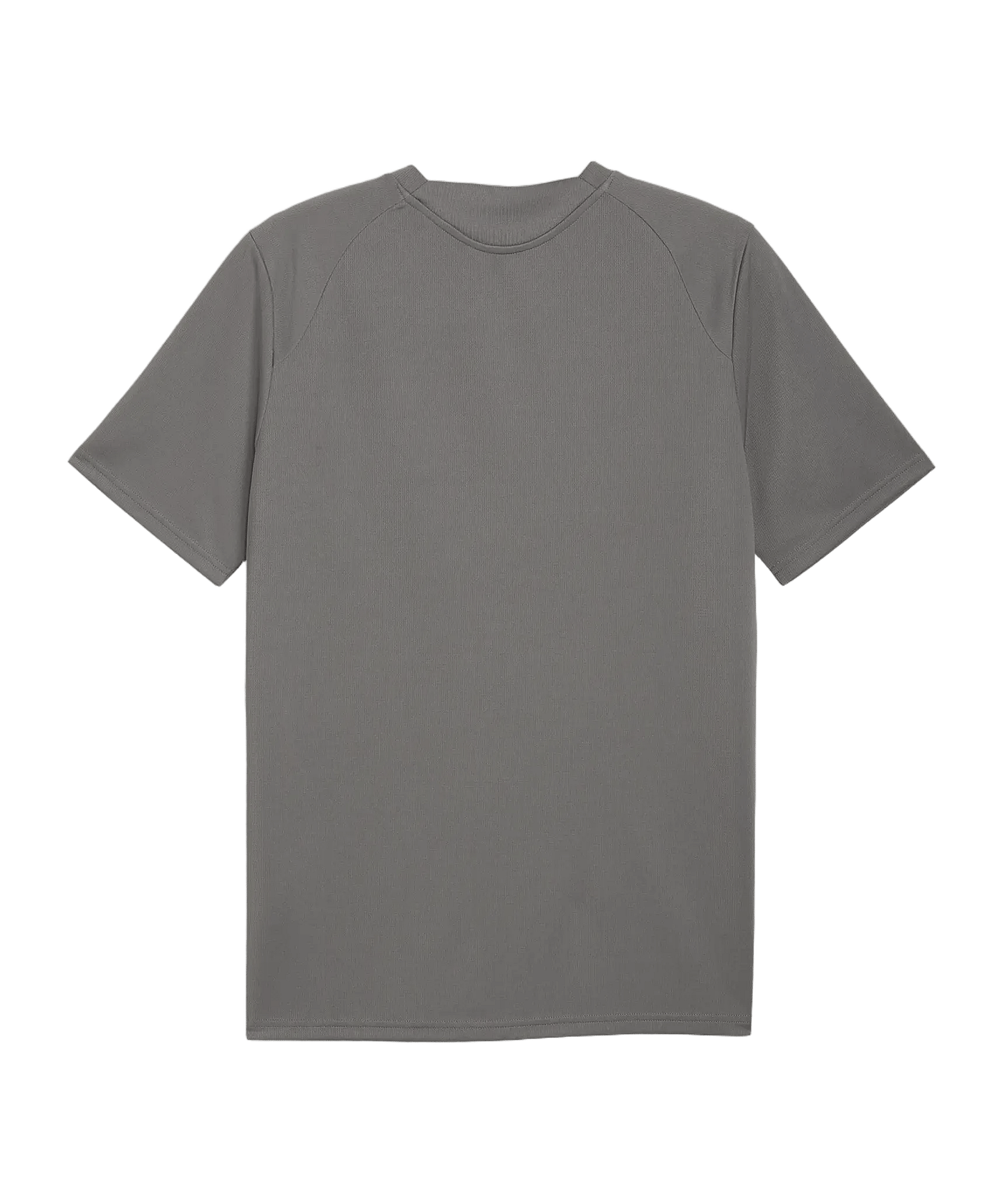 PUMA teamFINAL26 Training Trikot Grau F13 - grau