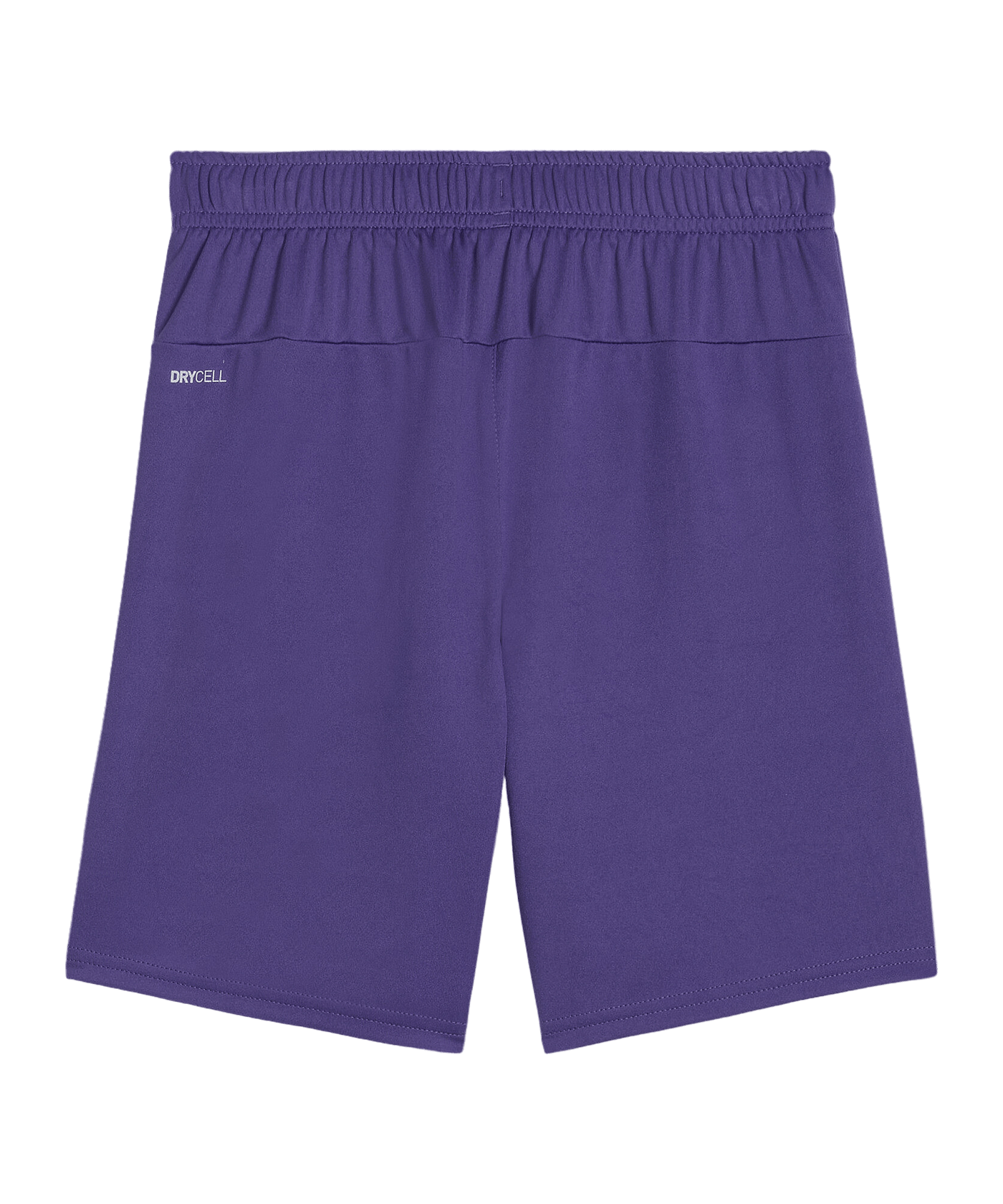 PUMA teamGOAL Short Kids Lila Weiss F10 - lila