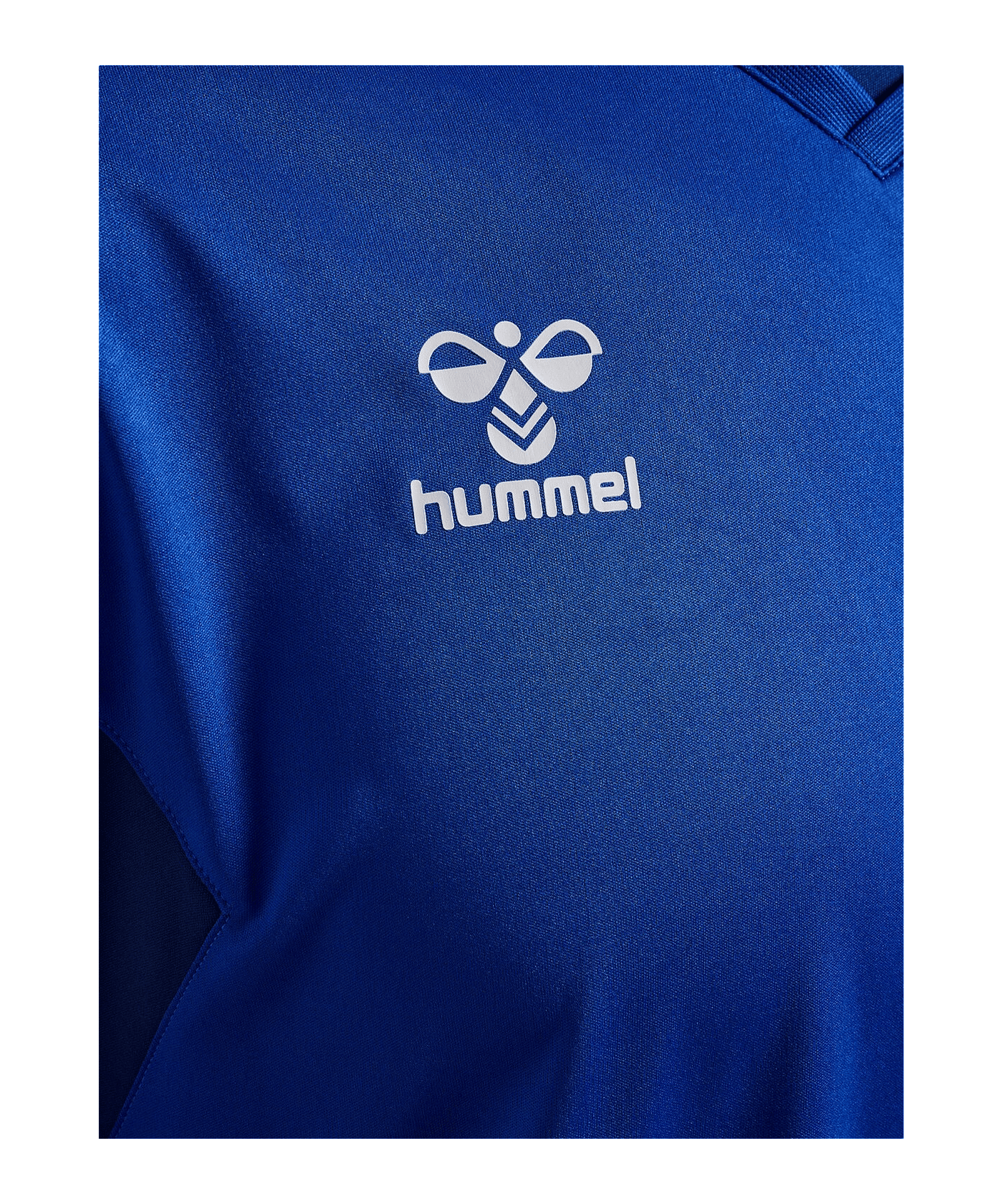 Hummel hmlAUTHENTIC PL langarm Trikot Blau F7045 - blau