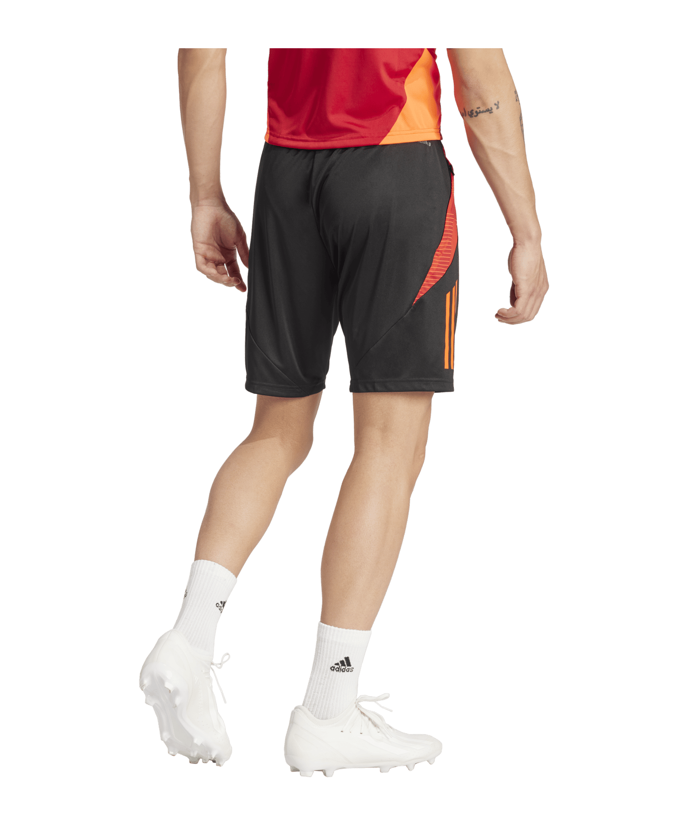 adidas Tiro 24 Competition Training Short - schwarz