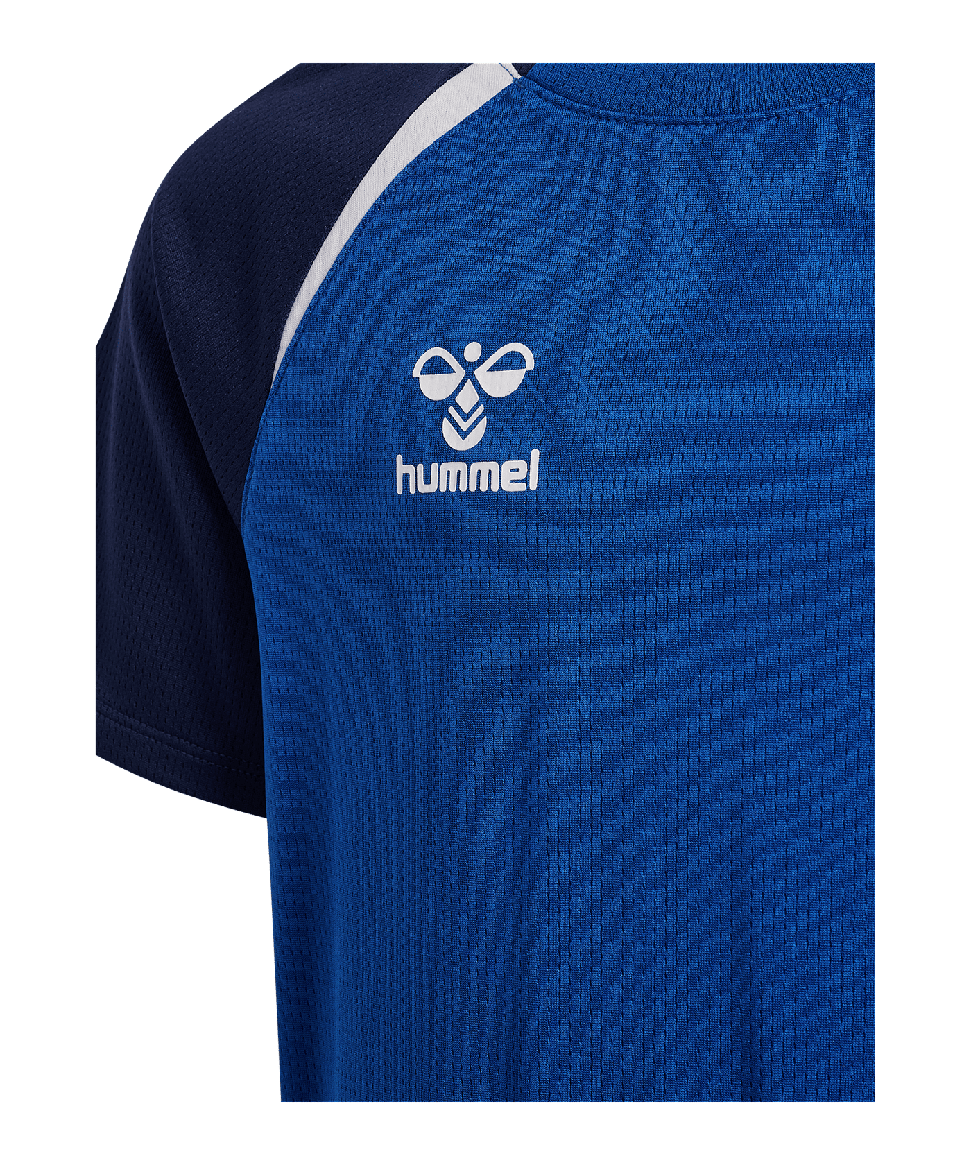 Hummel Trikot Kids Blau F8607 - blau