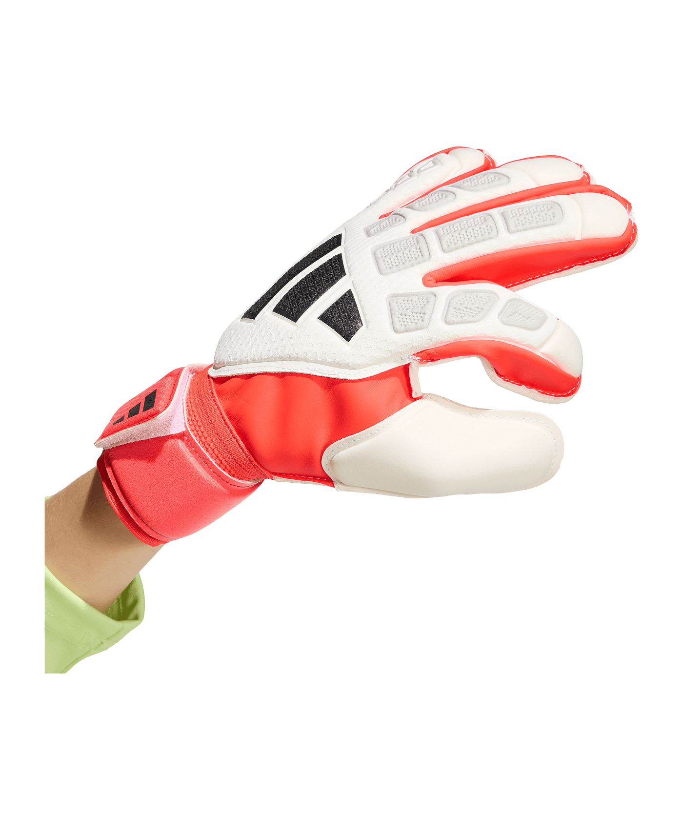 adidas Predator Match Torwarthandschuhe Kids Weiß - weiss