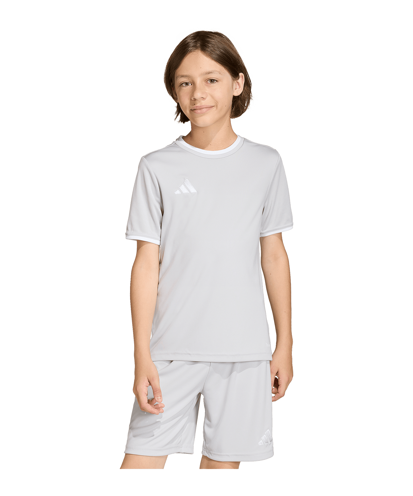 adidas Entrada 26 Trikot Kids Grau - grau
