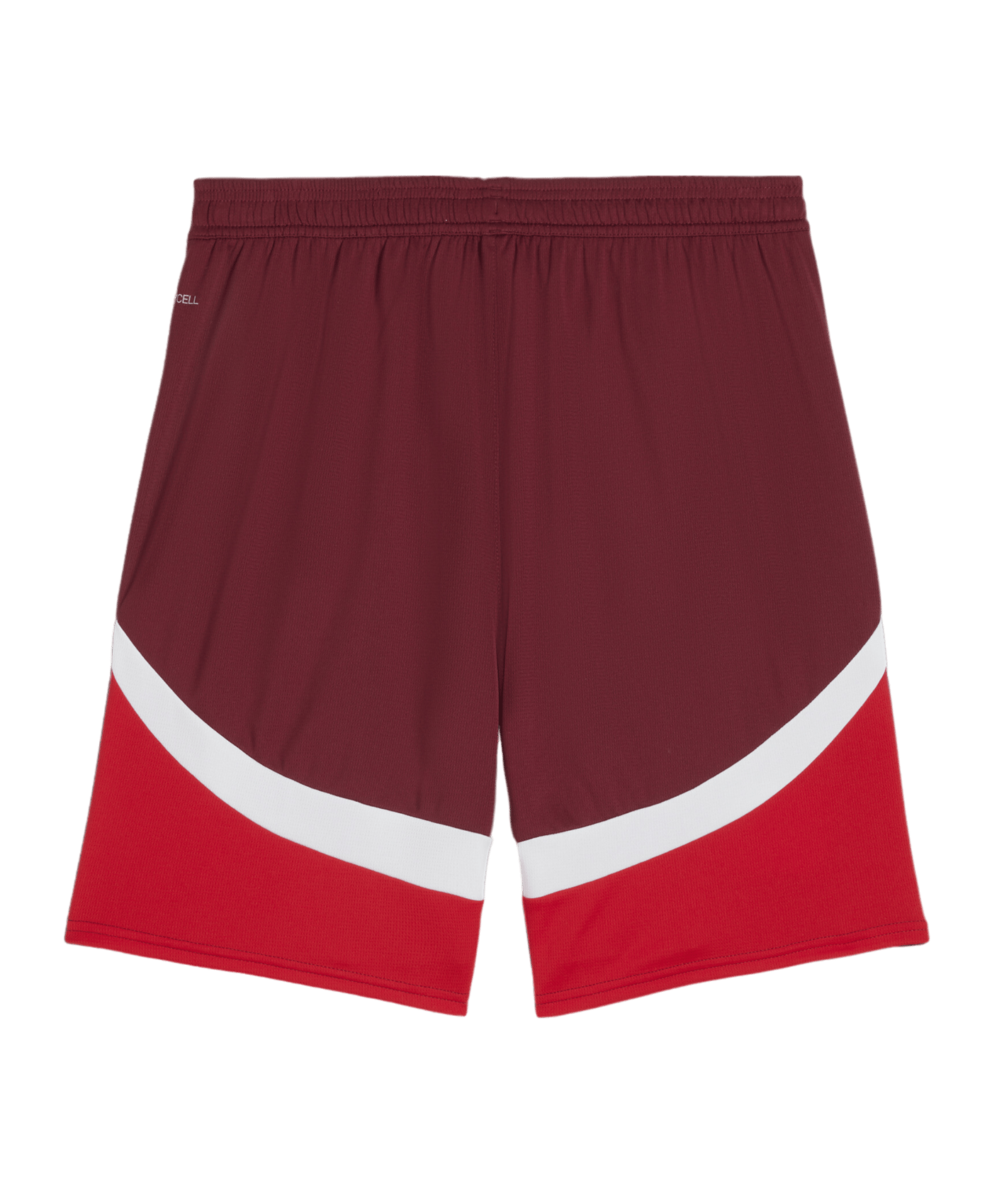 PUMA Schweiz Short EM 2024 Rot F03 - rot