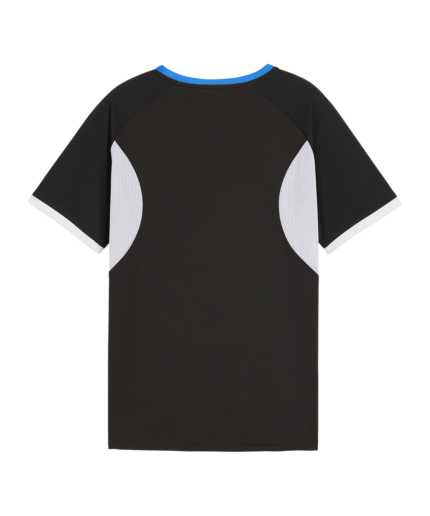 PUMA Individualliga Graphic Trikot Kids Schwarz F09 - schwarz