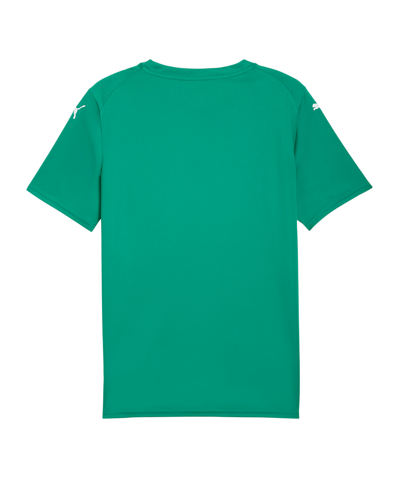 PUMA teamFINAL Graphic Trikot Grün F05 - gruen