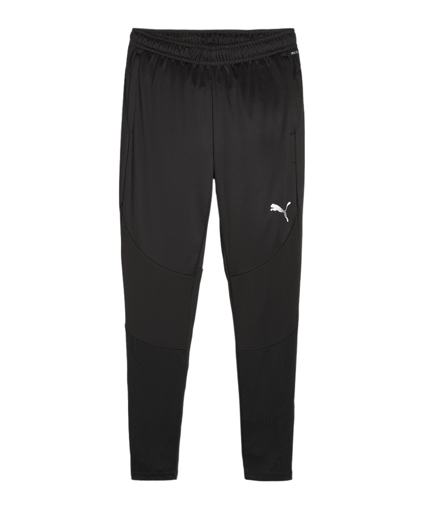 PUMA teamFINAL Trainingshose Schwarz F03 - schwarz