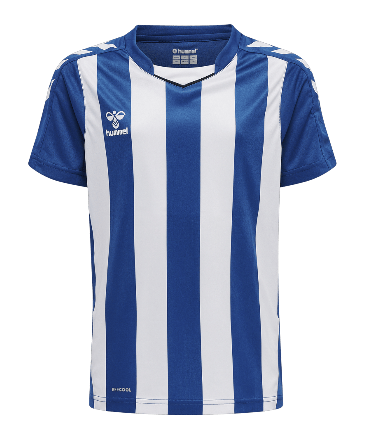 Hummel hmlCORE XK Stripped Trikot Kids F7691 - blau