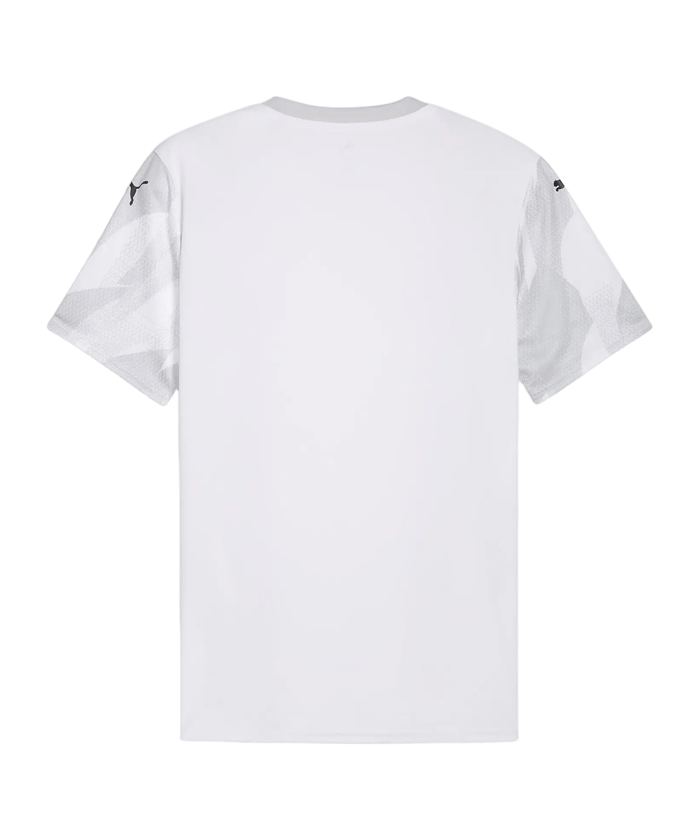 PUMA teamFINAL Graphic Trikot Weiß F04 - weiss