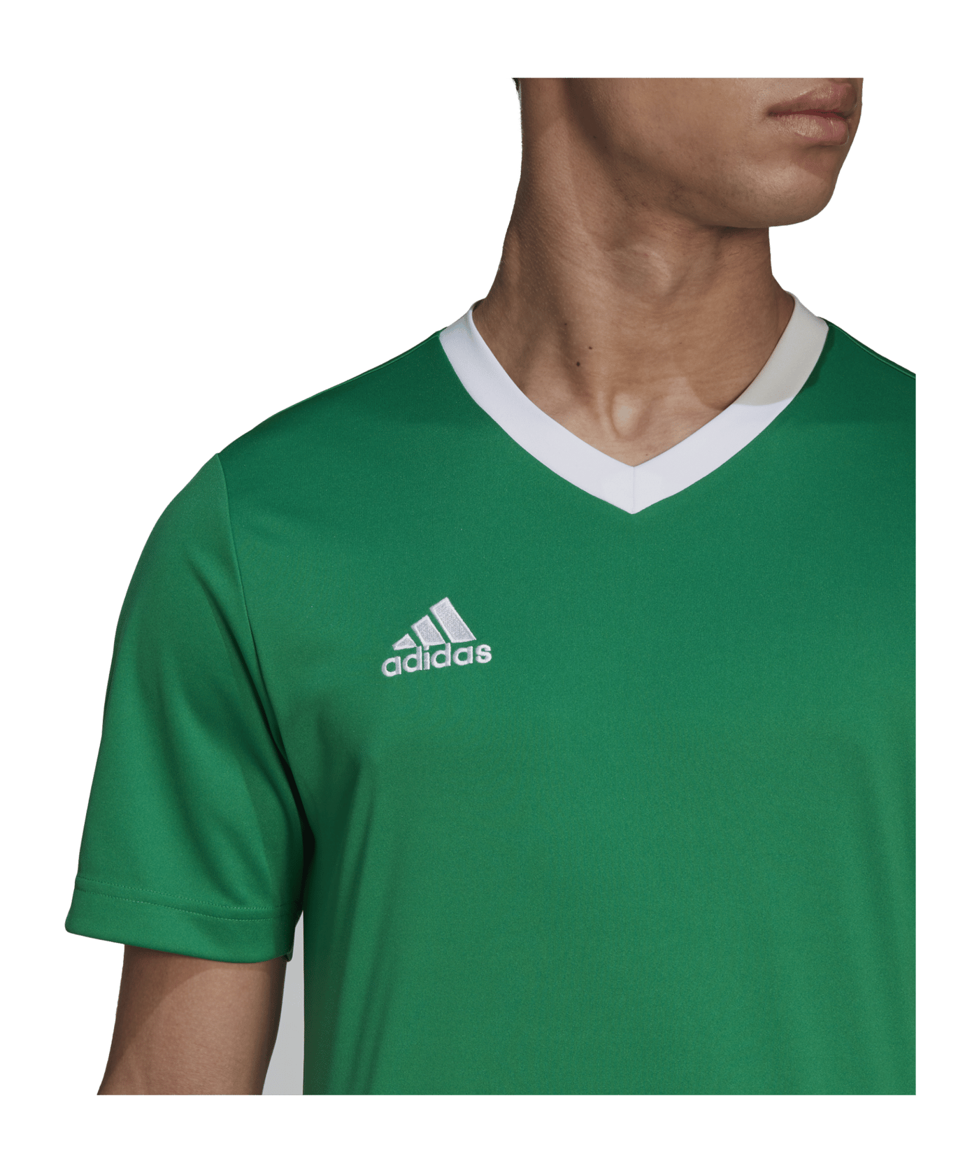 adidas Entrada 22 Trikot Grün - gruen