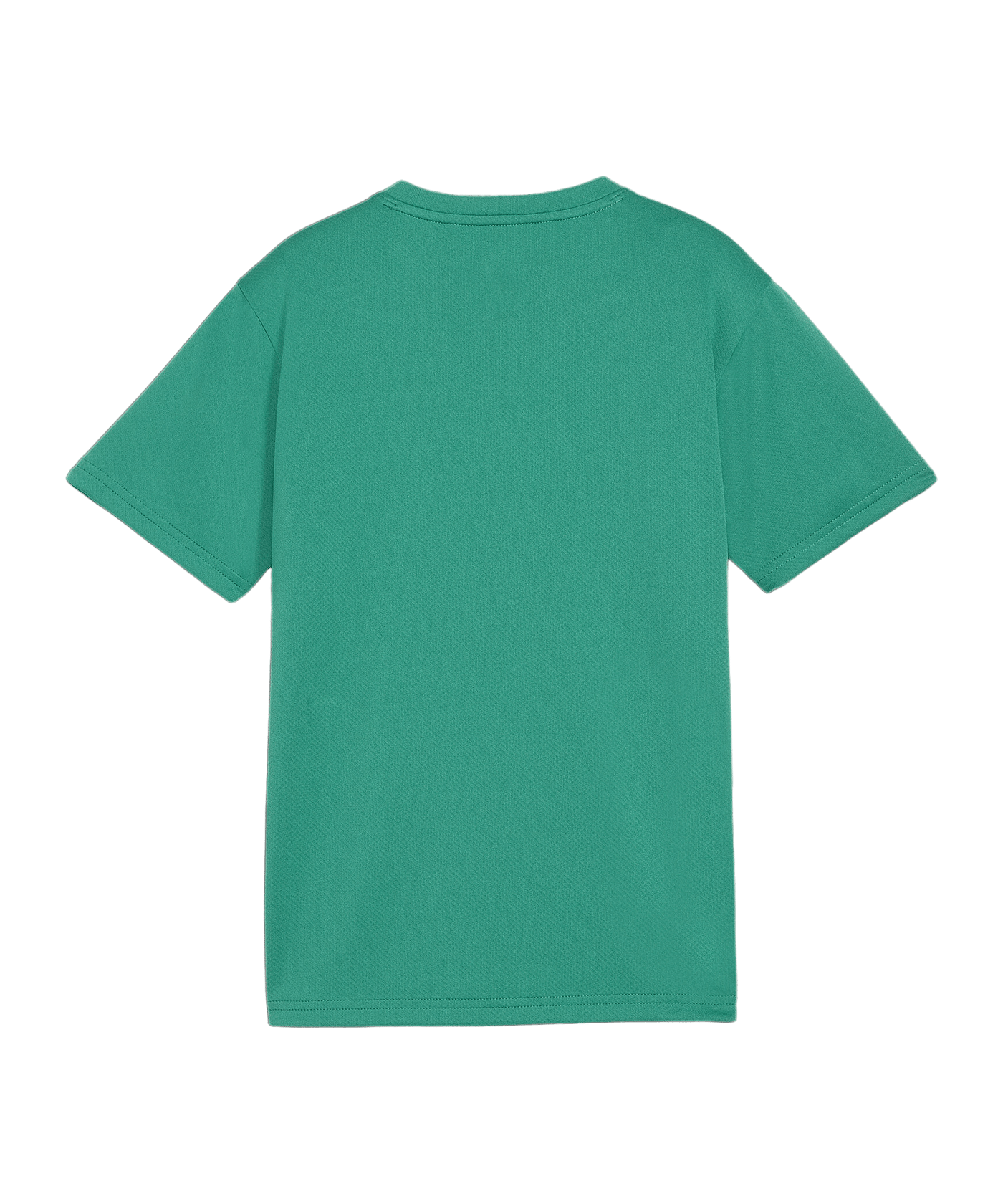PUMA teamGOAL Trikot Kids Grün F05 - gruen