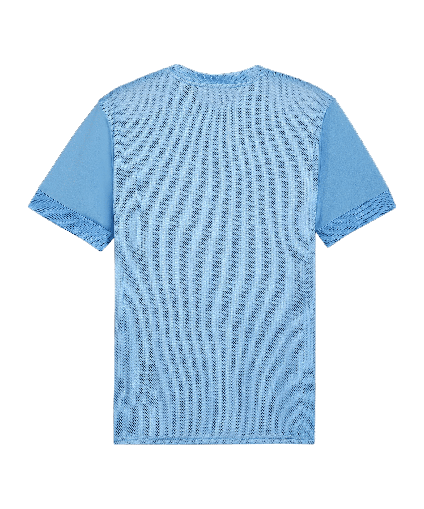 PUMA teamGOAL Matchday Trikot Blau Weiss F18 - blau