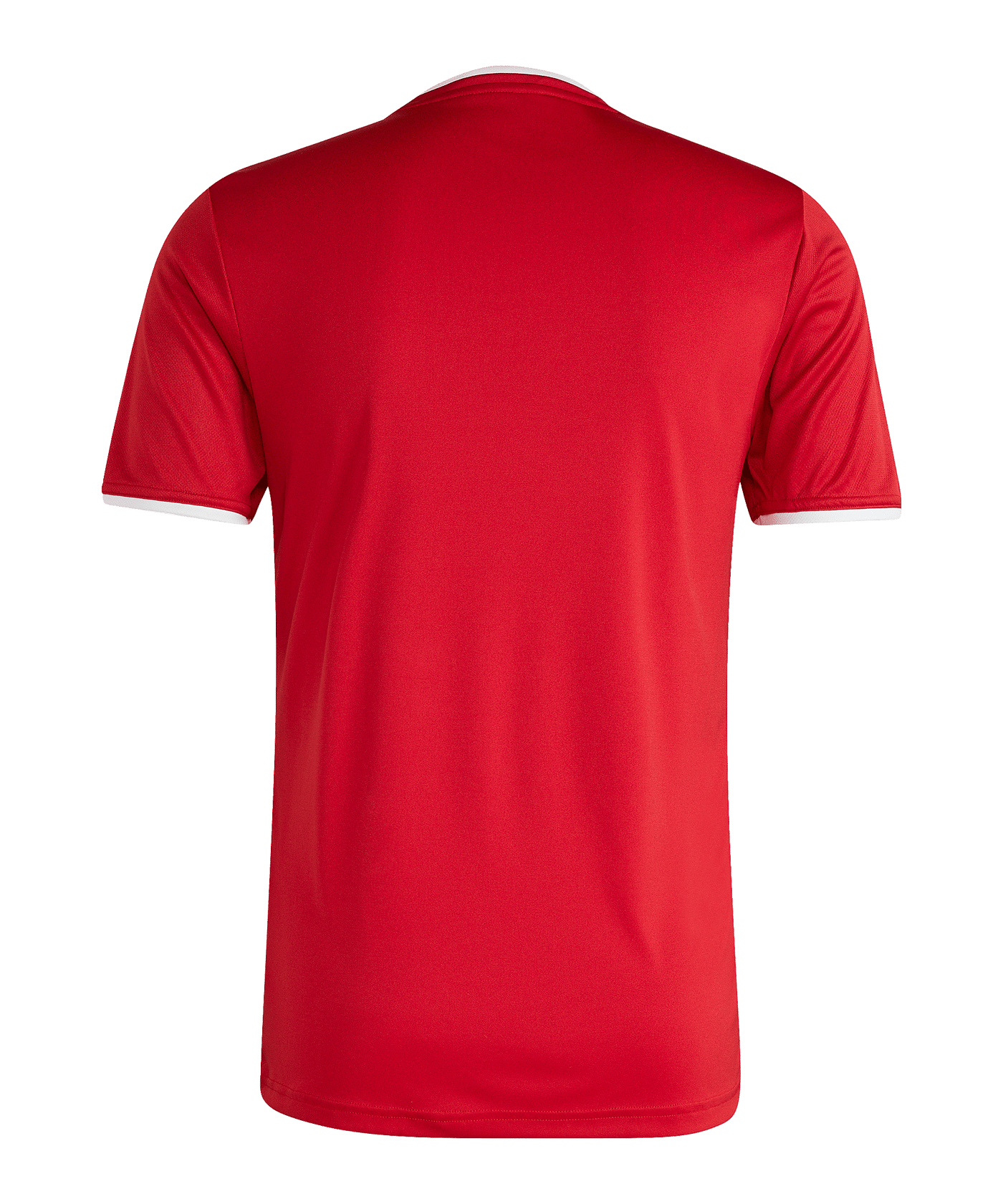 adidas Entrada 26 Trikot Rot - rot