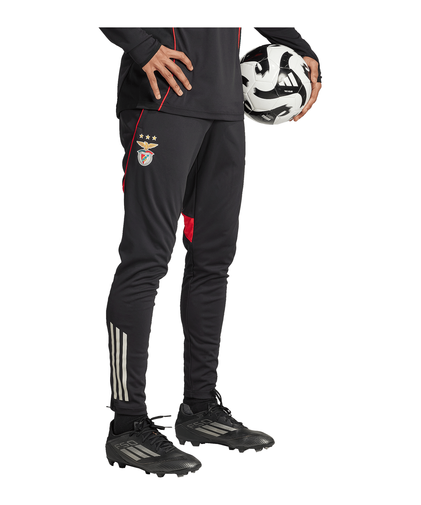 adidas Benfica Lissabon Trainingshose Schwarz - schwarz