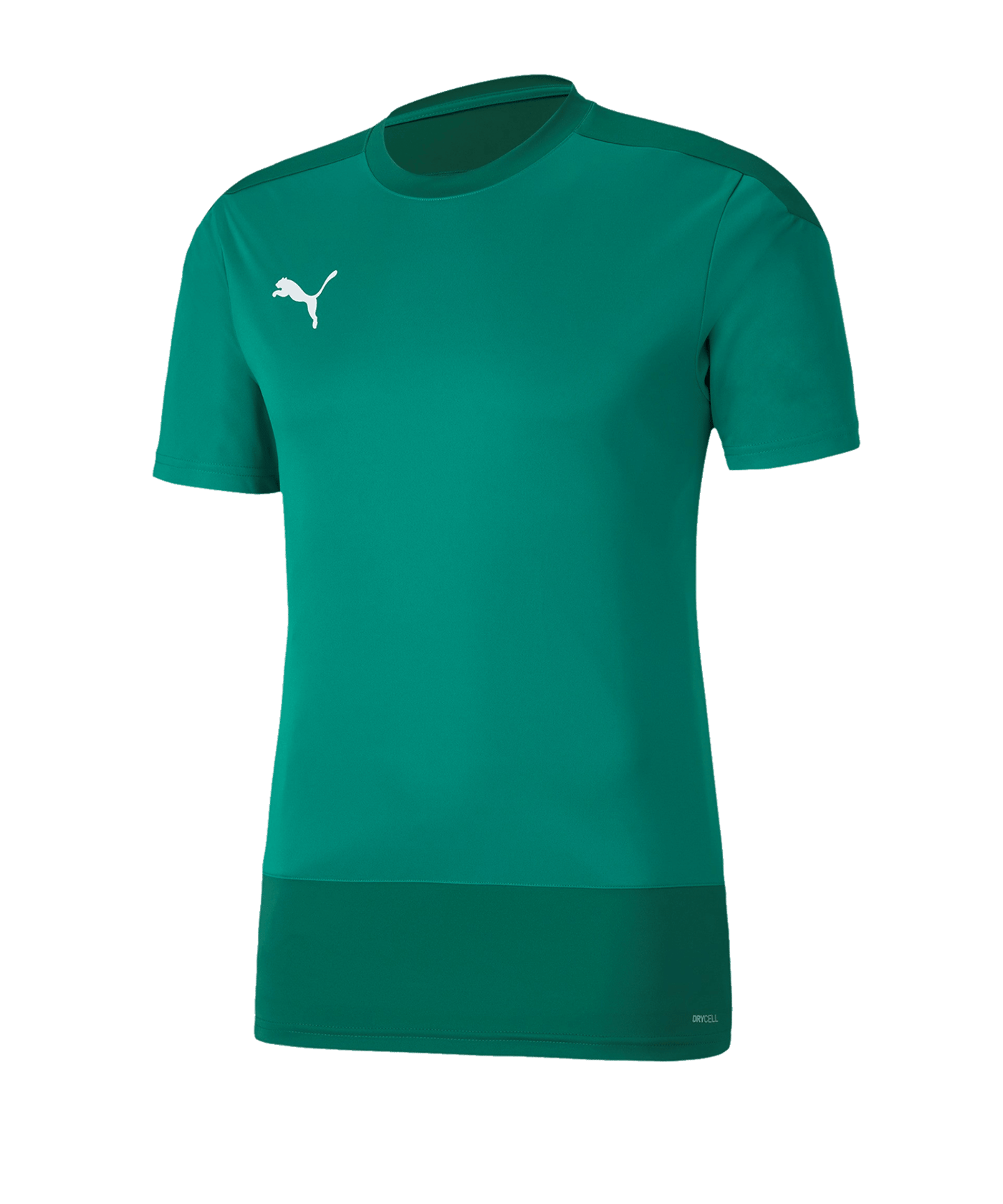 PUMA teamGOAL 23 Training Trikot Grün F05 - gruen