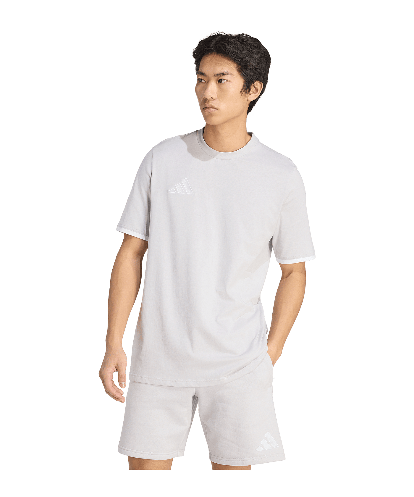 adidas Entrada 26 T-Shirt Grau - grau