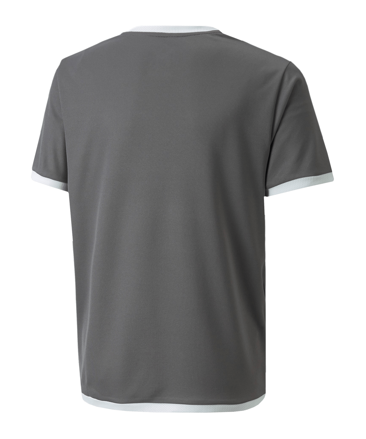 PUMA teamLIGA Trikot Kids Grau F13 - grau