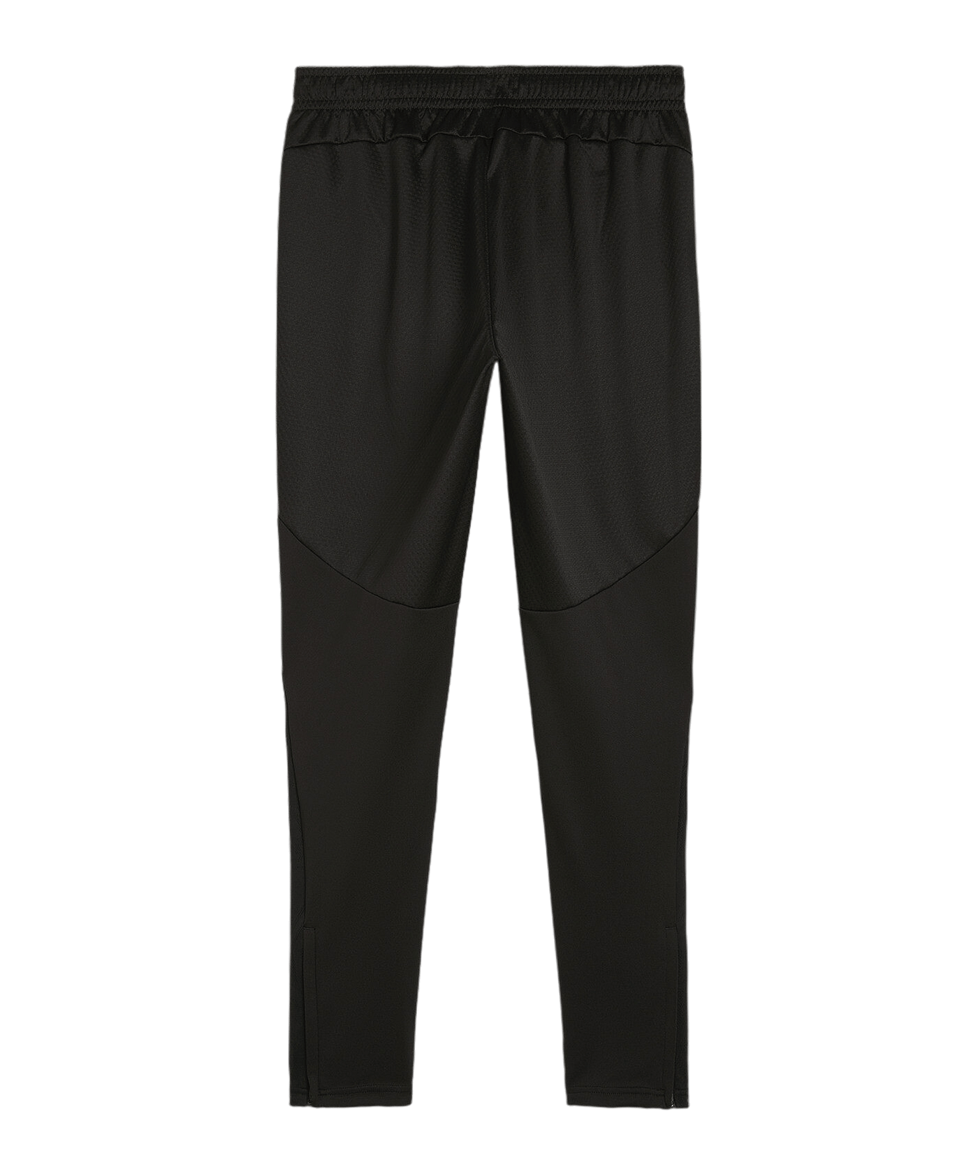 PUMA teamFINAL Trainingshose Schwarz F03 - schwarz