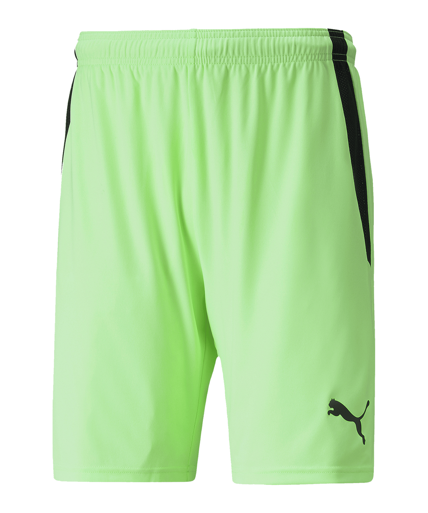 PUMA teamLIGA Short Grün Schwarz F20 - gruen