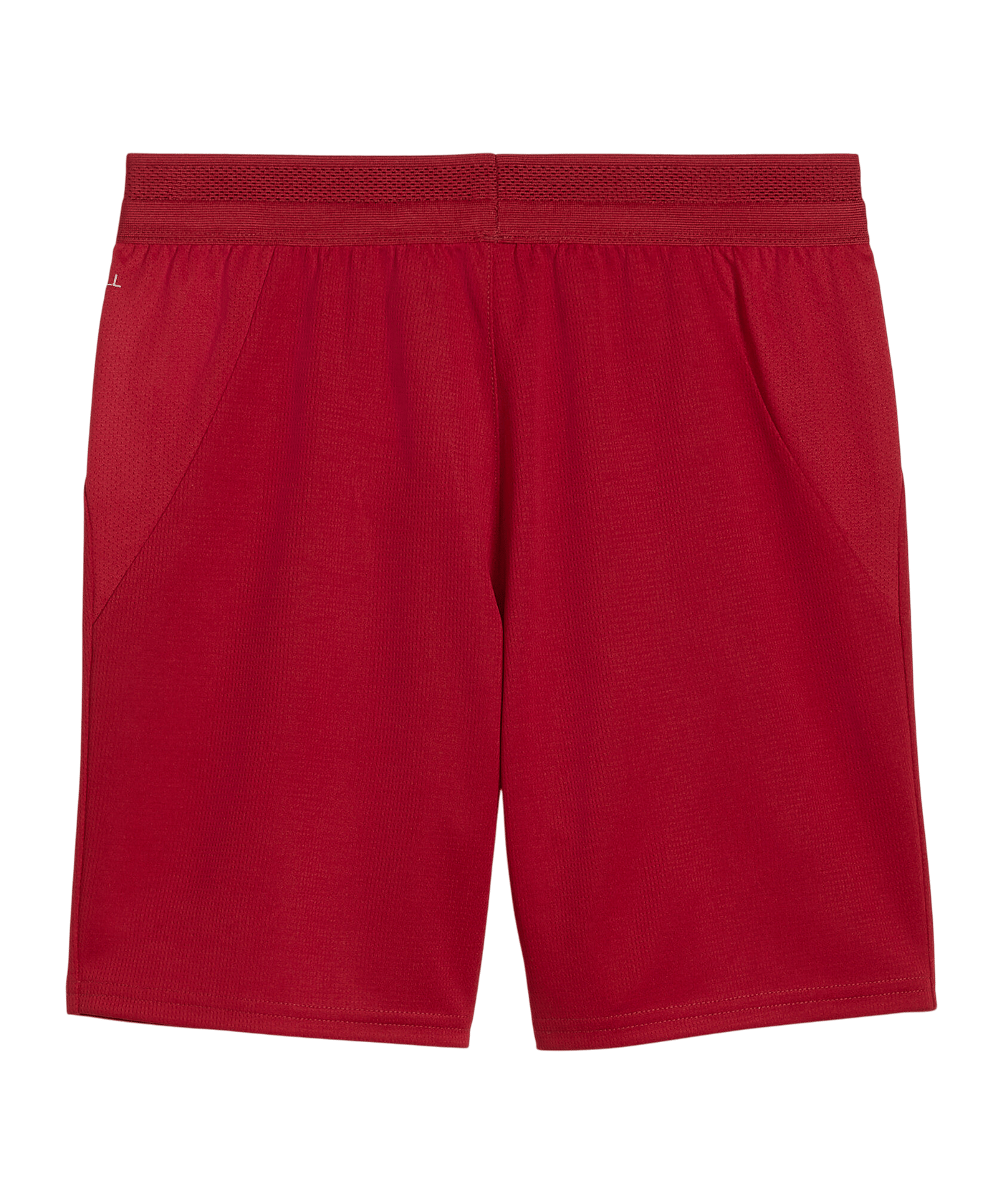 PUMA Galatasaray Istanbul Replica Short 2026/2027 Kids Rot F01 - rot