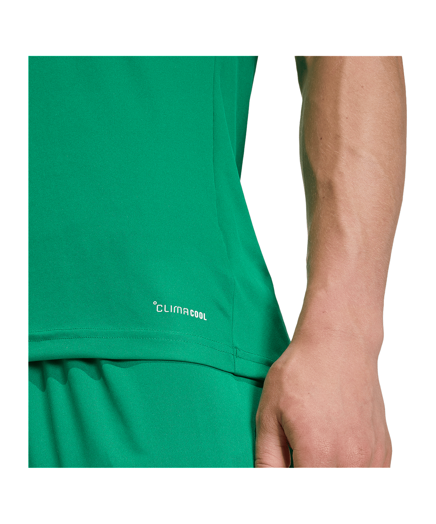 adidas Entrada 26 Trikot Grün - gruen