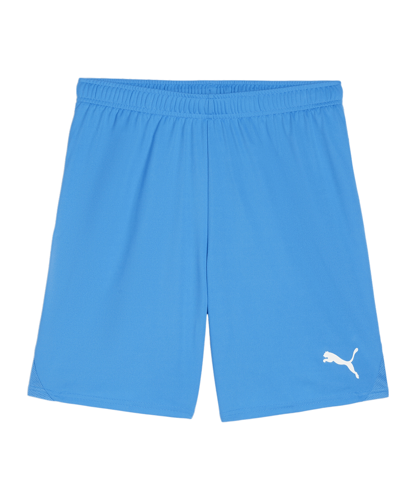 PUMA teamGOAL Short Blau Weiss F02 - blau