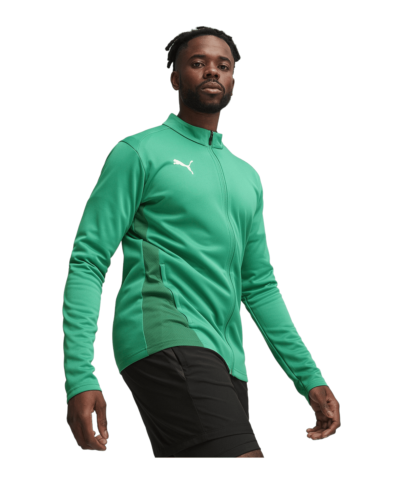 PUMA teamGOAL Trainingsjacke Grün F05 - gruen