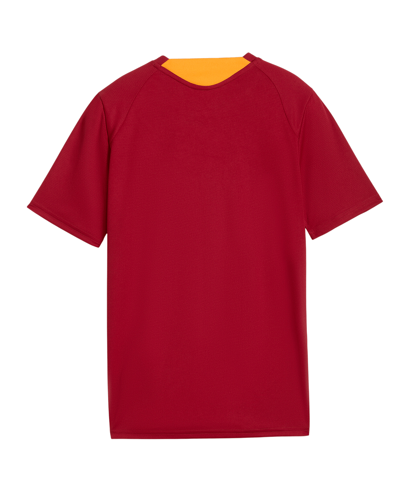 PUMA Galatasaray Istanbul Training Trikot Kids Rot F01 - rot