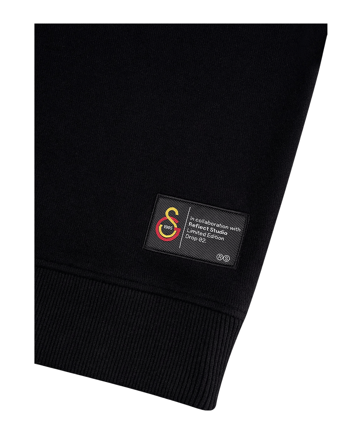 GSSTORE X Reflect Studio Lion Hoody Schwarz F010 - schwarz