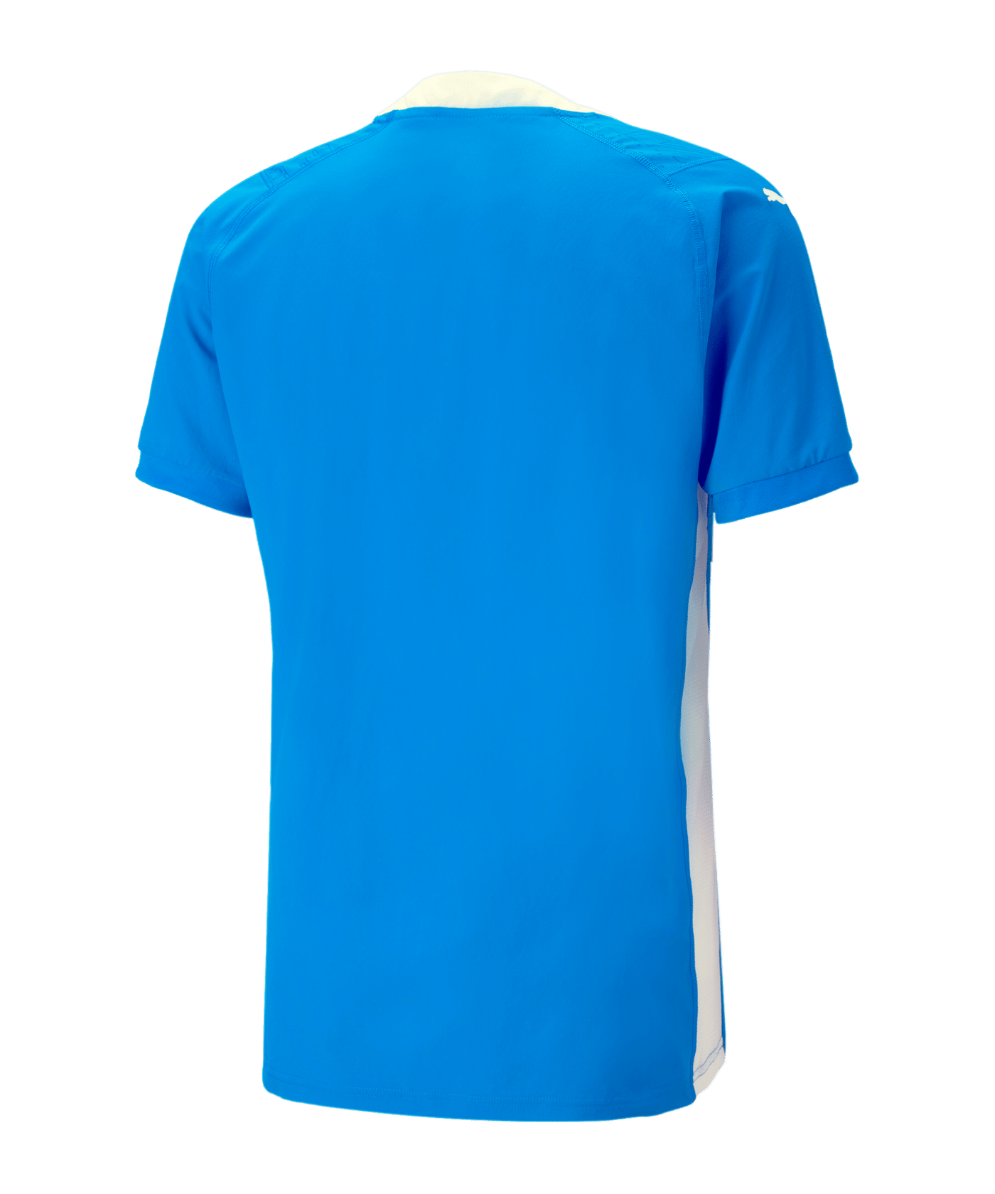 PUMA teamCUP Trikot Blau F02 - blau