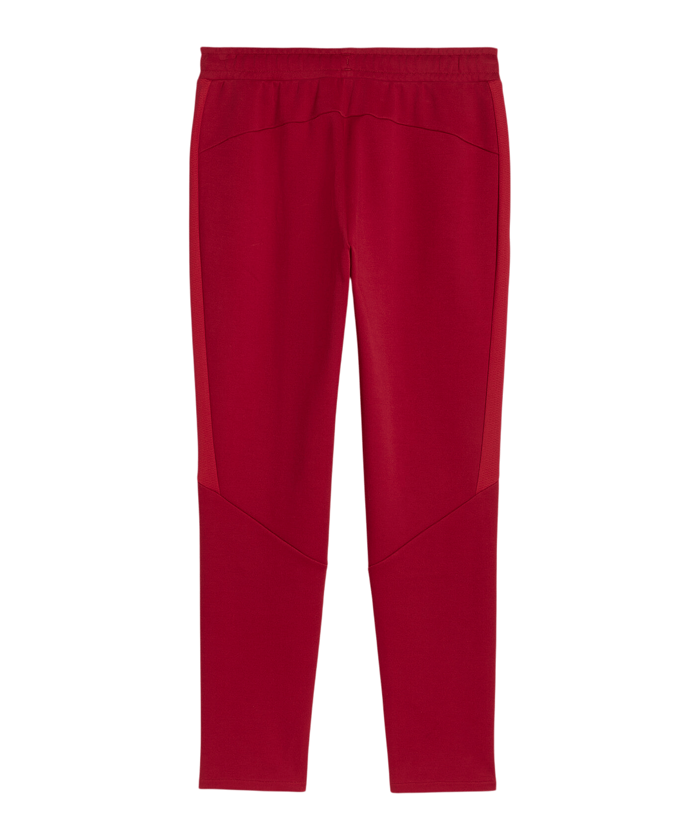 PUMA Galatasaray Istanbul Evostripe Hose Rot F01 - rot