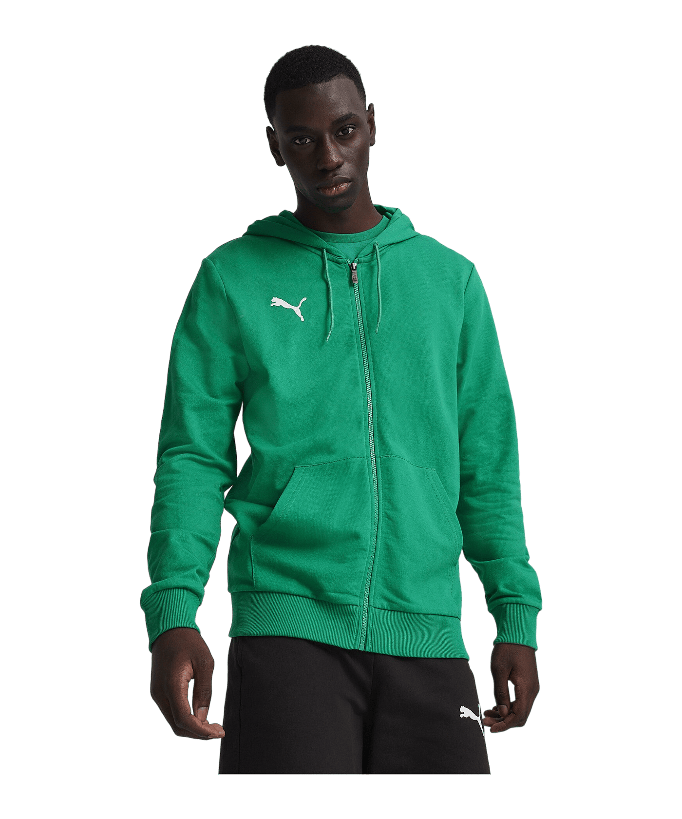PUMA teamGOAL Casuals Kapuzenjacke Grün F05 - gruen