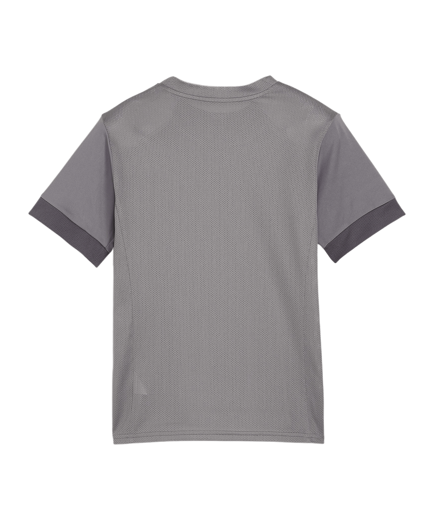 PUMA teamGOAL Matchday Trikot Kids Grau Weiss F13 - grau