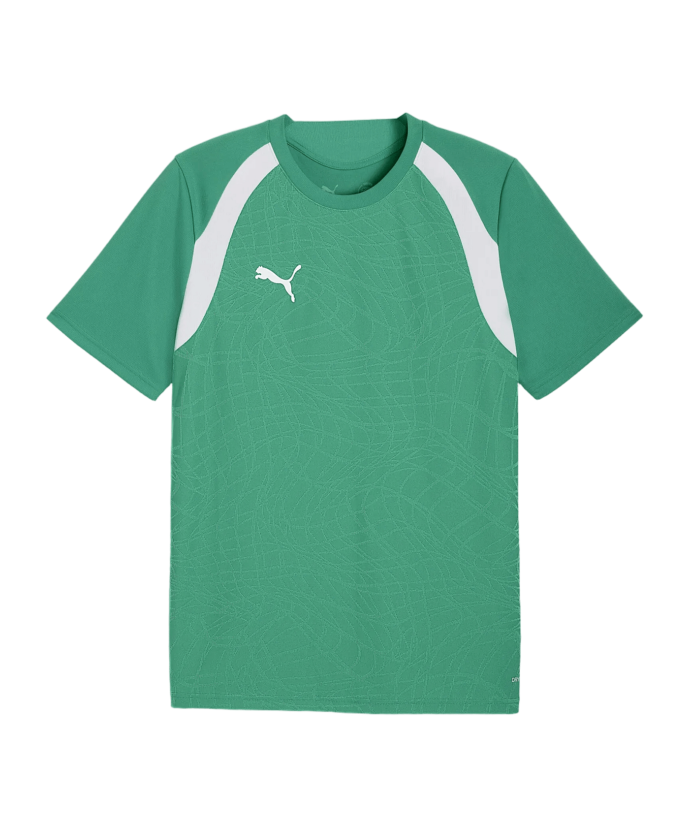PUMA teamFINAL26 Training Trikot Grün F05 - gruen