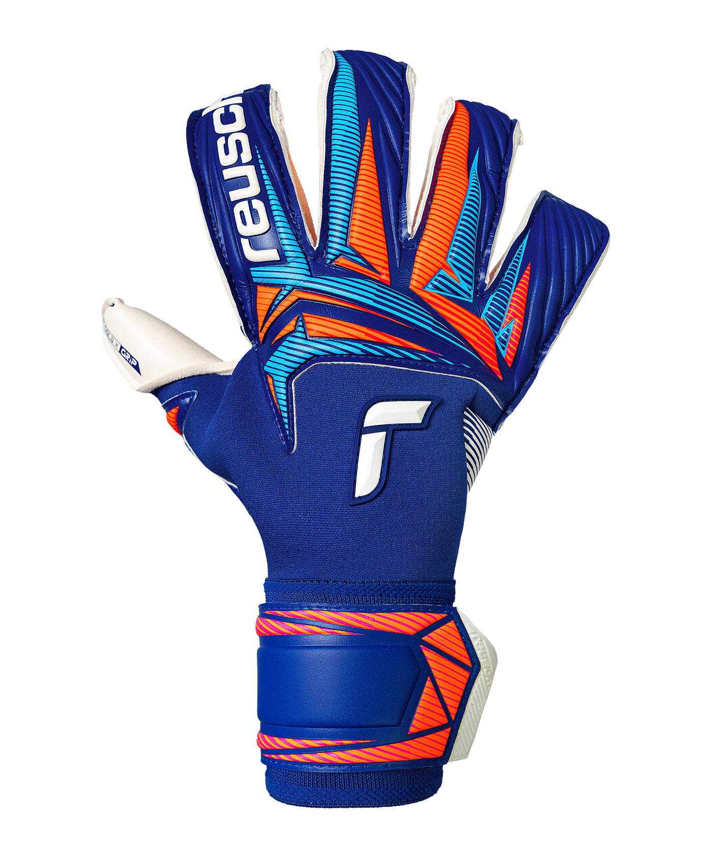 Reusch Attrakt Gold X Evolution Torwarthandschuhe Blau