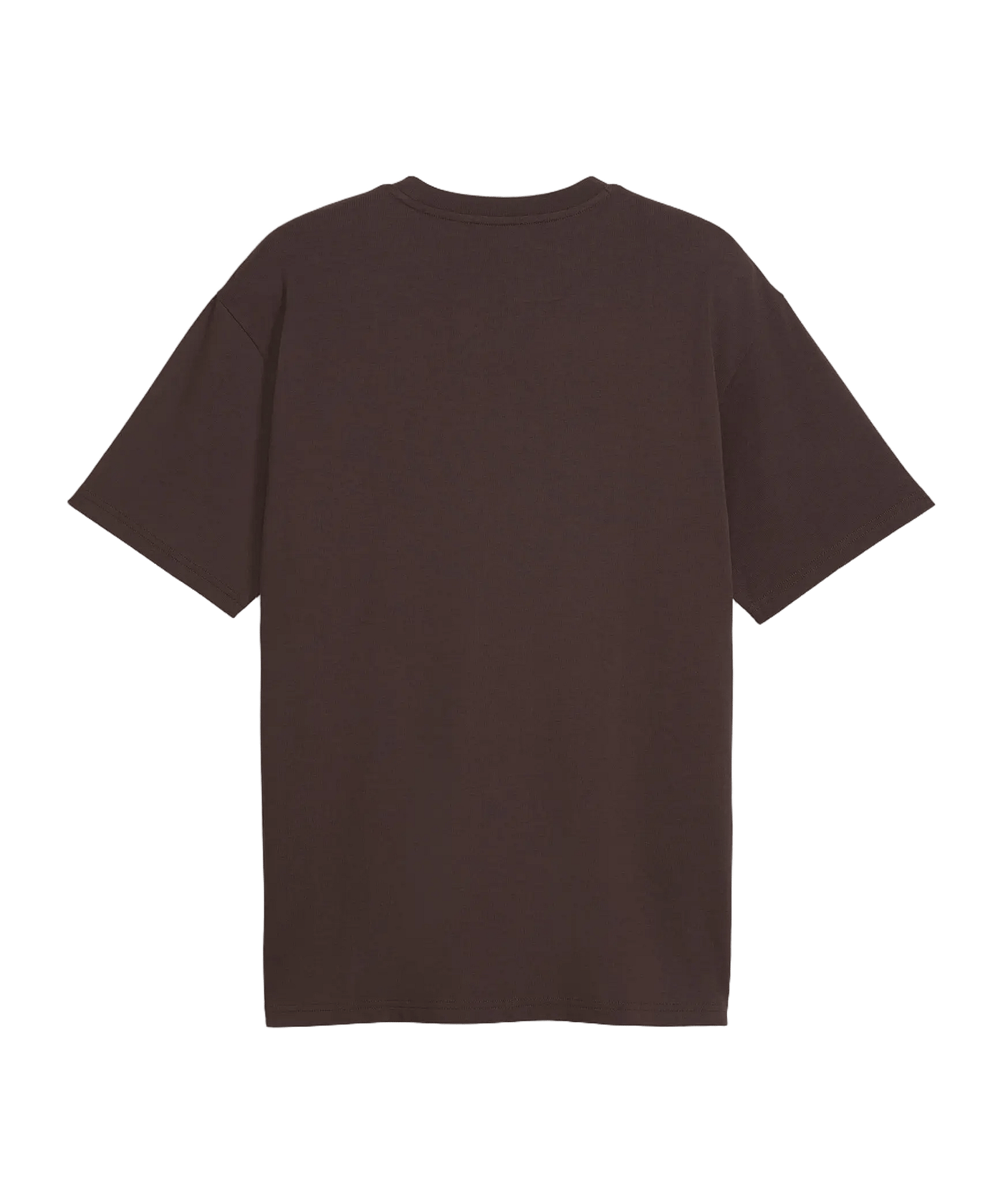 PUMA FC St. Pauli Graphic T-Shirt Braun F01 - braun