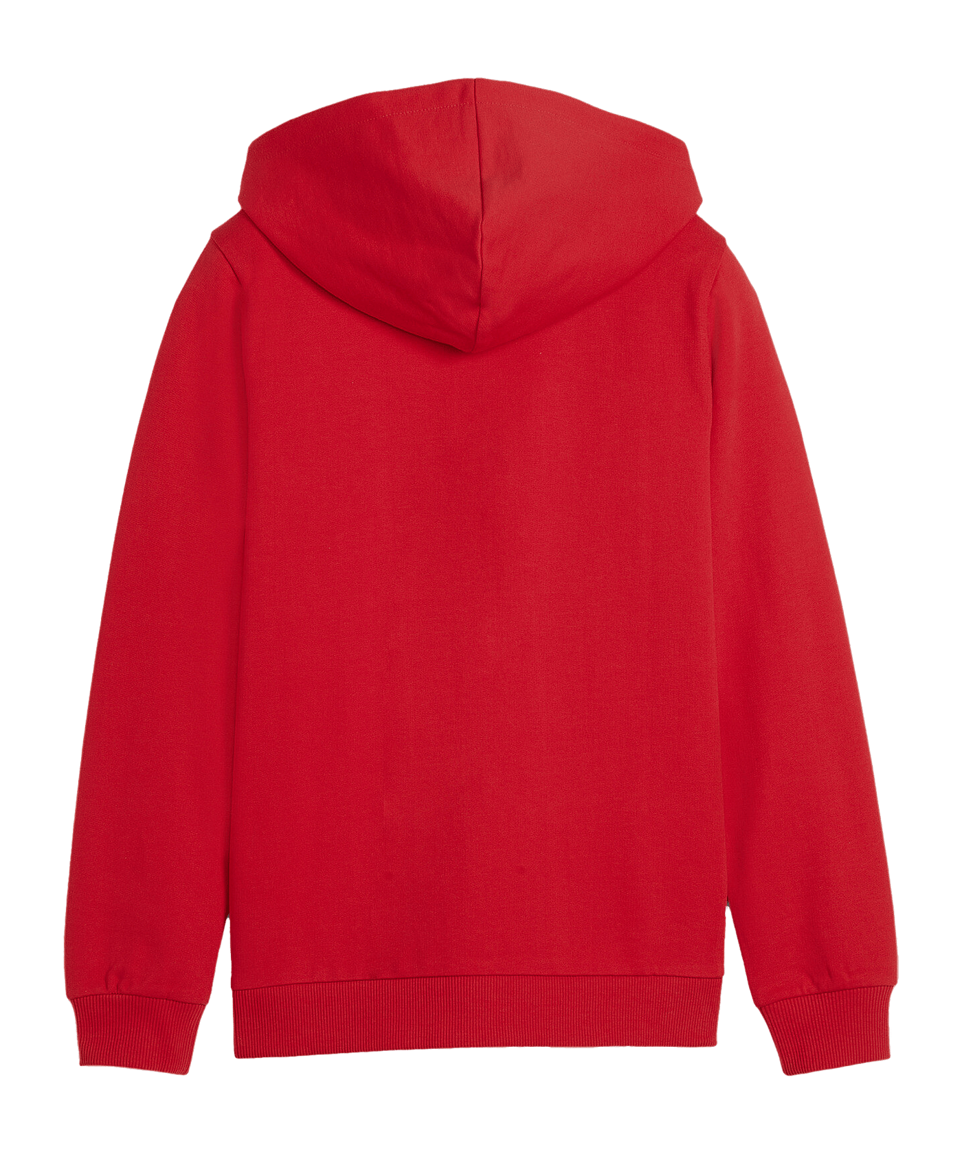 PUMA teamGOAL Casuals Kapuzenjacke Kids Rot F01 - rot