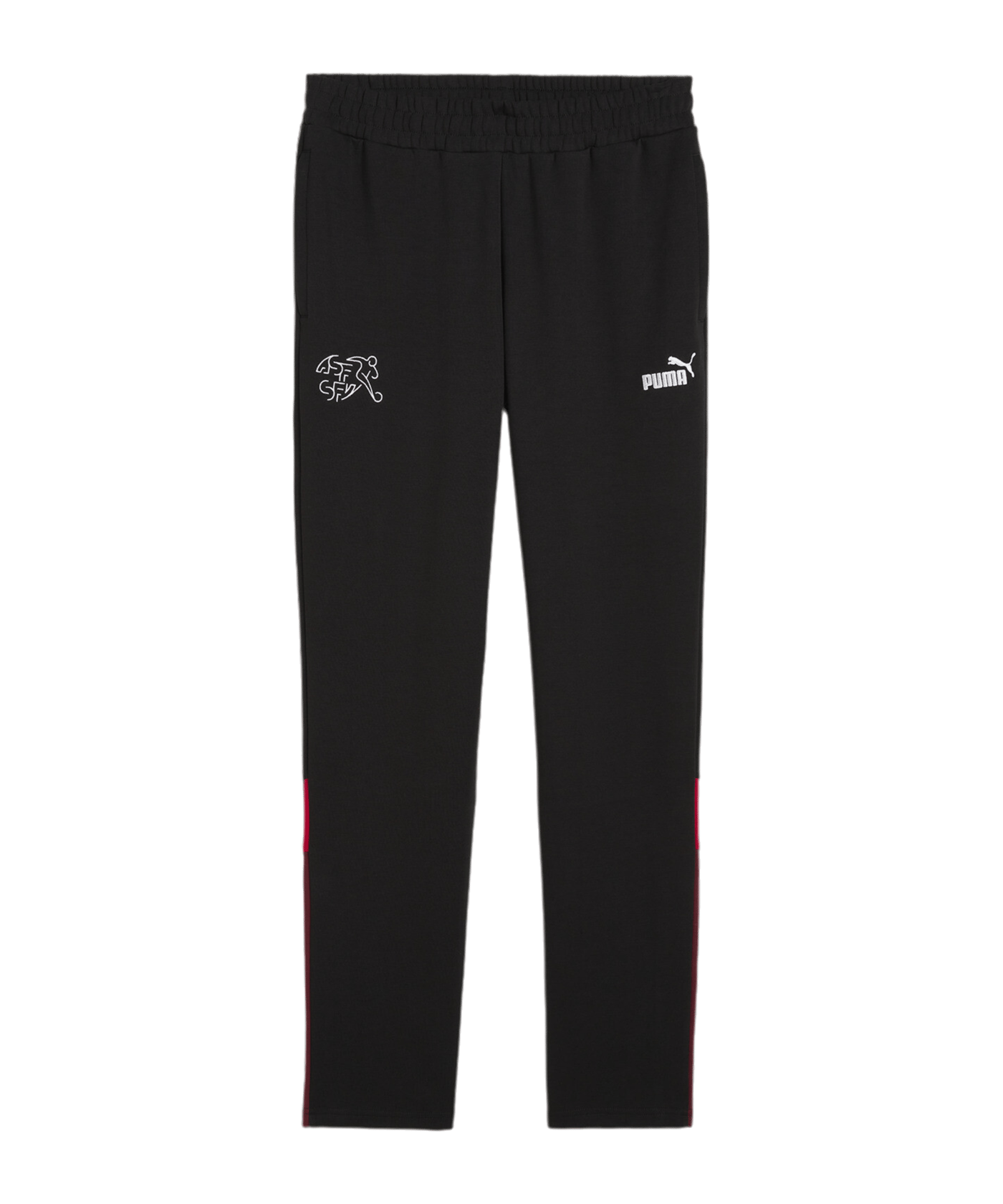 PUMA Schweiz Ftbl Archive Trainingshose EM 2024 Schwarz F14 - schwarz