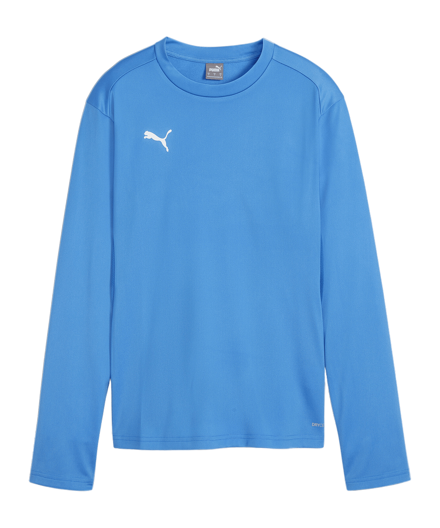 PUMA teamGOAL Training Sweatshirt Damen Blau F02 - hellblau